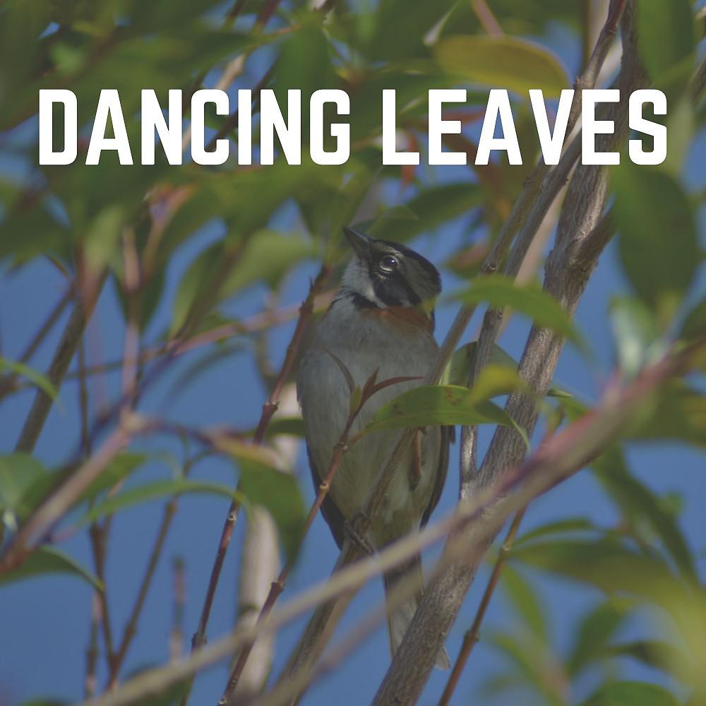 Постер альбома Dancing Leaves