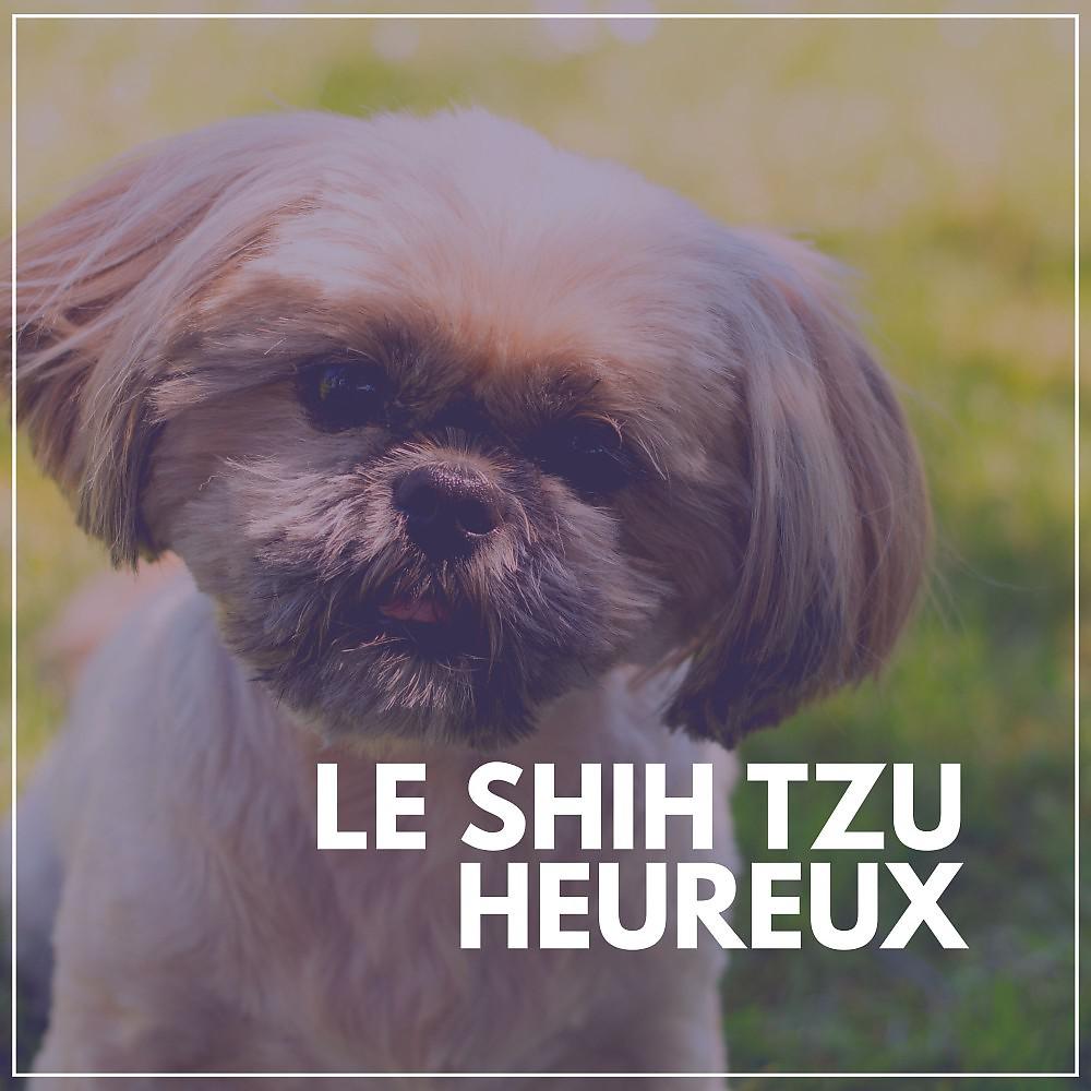 Постер альбома Le Shih Tzu Heureux