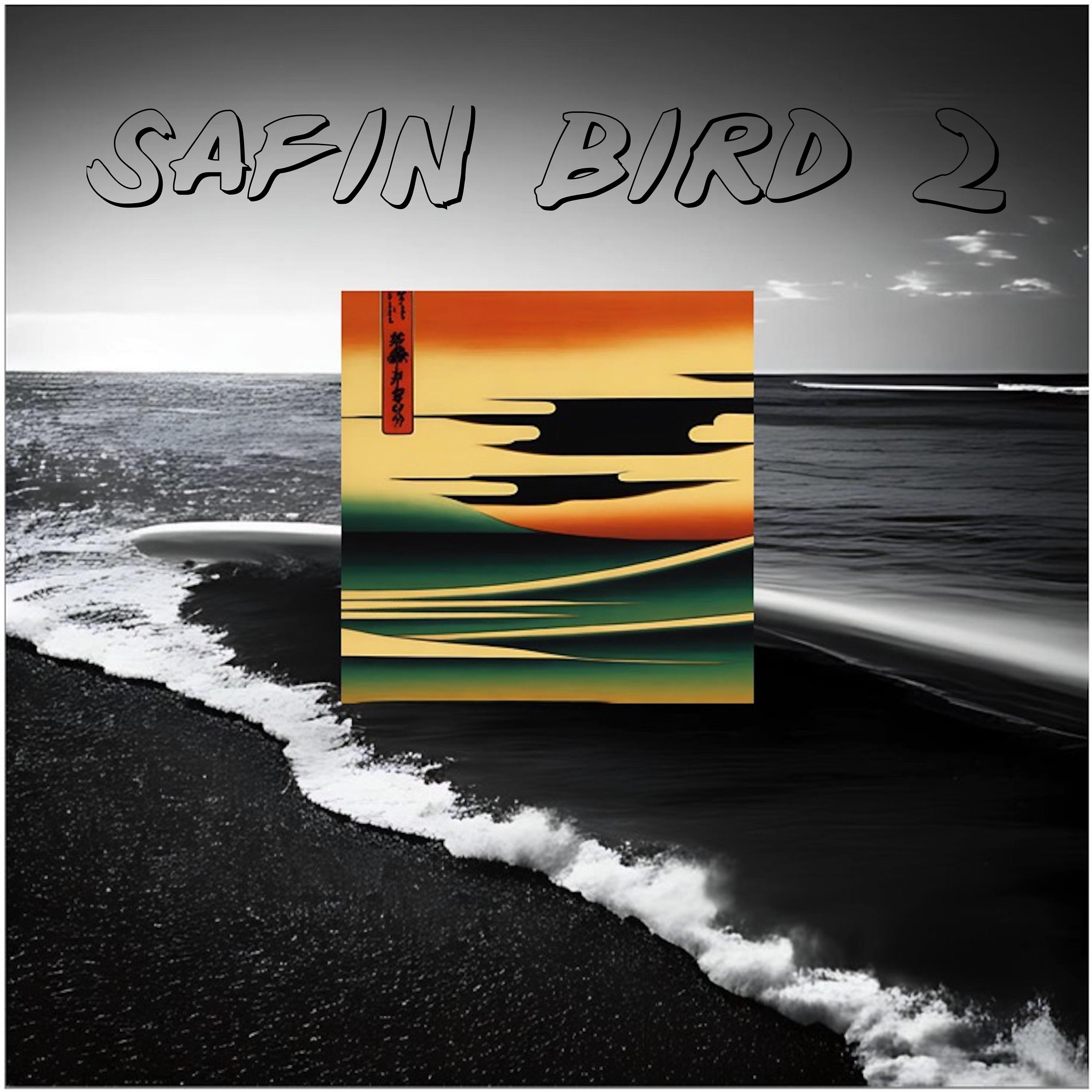 Постер альбома Safin Bird 2