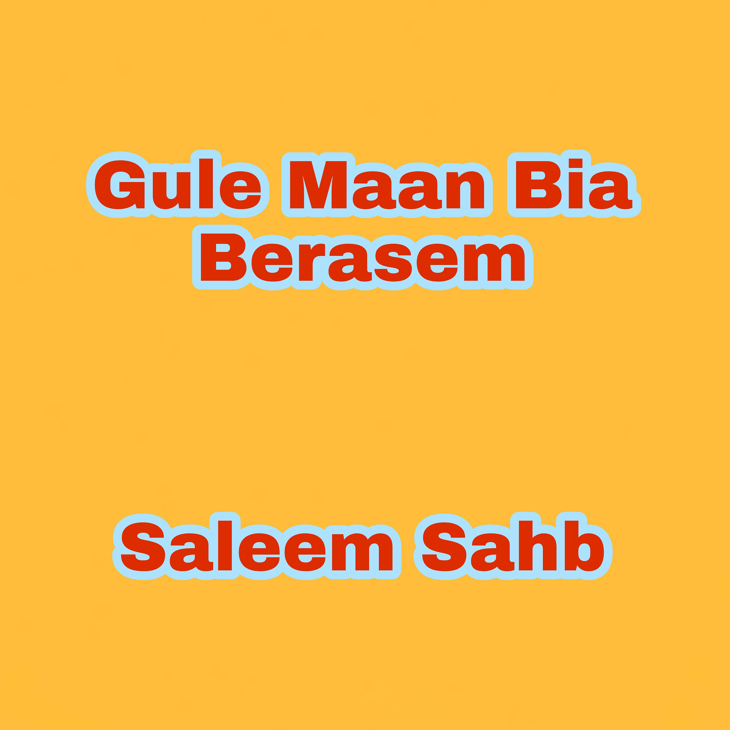 Постер альбома Gule Maan Bia Berasem