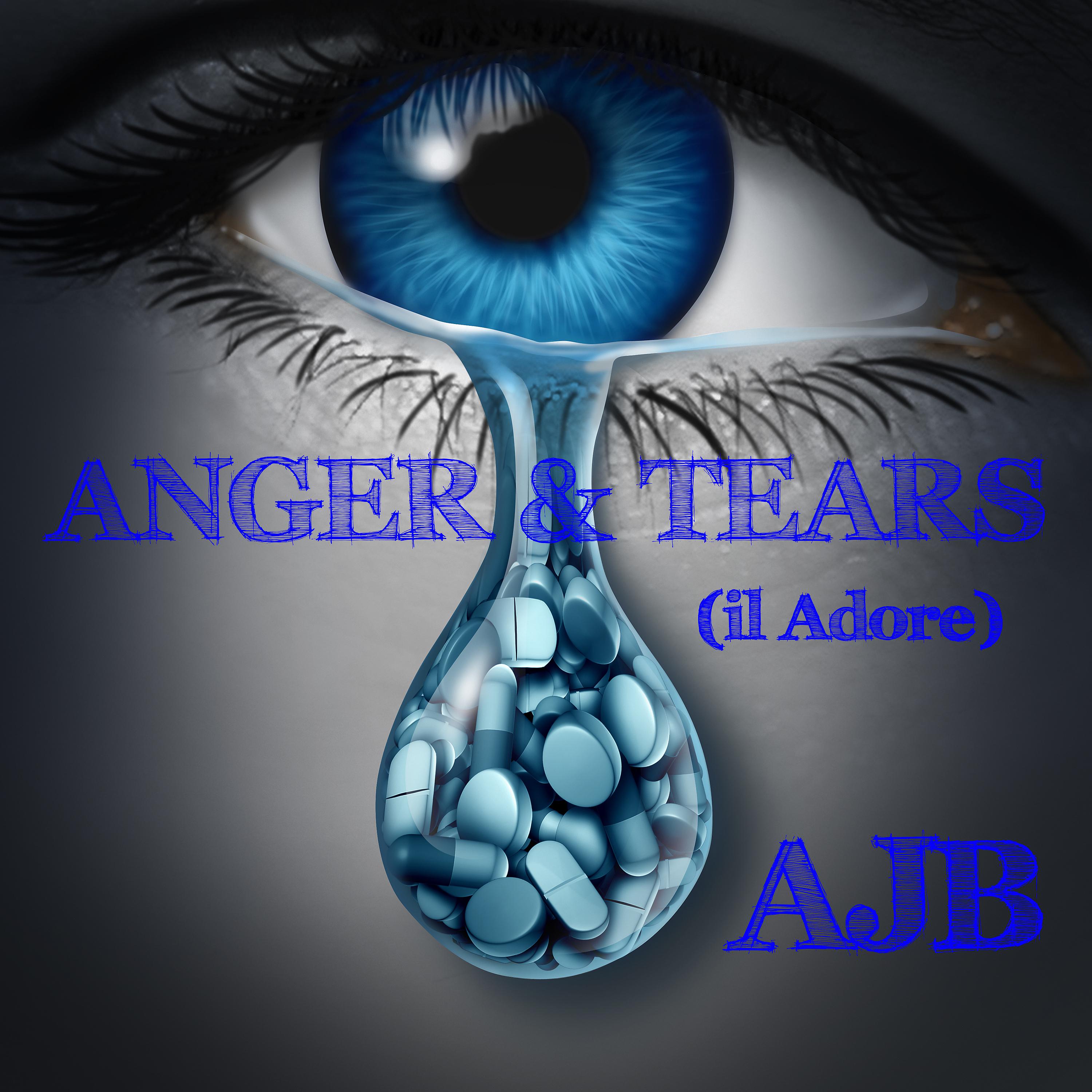 Постер альбома Anger and Tears (Il Adore)
