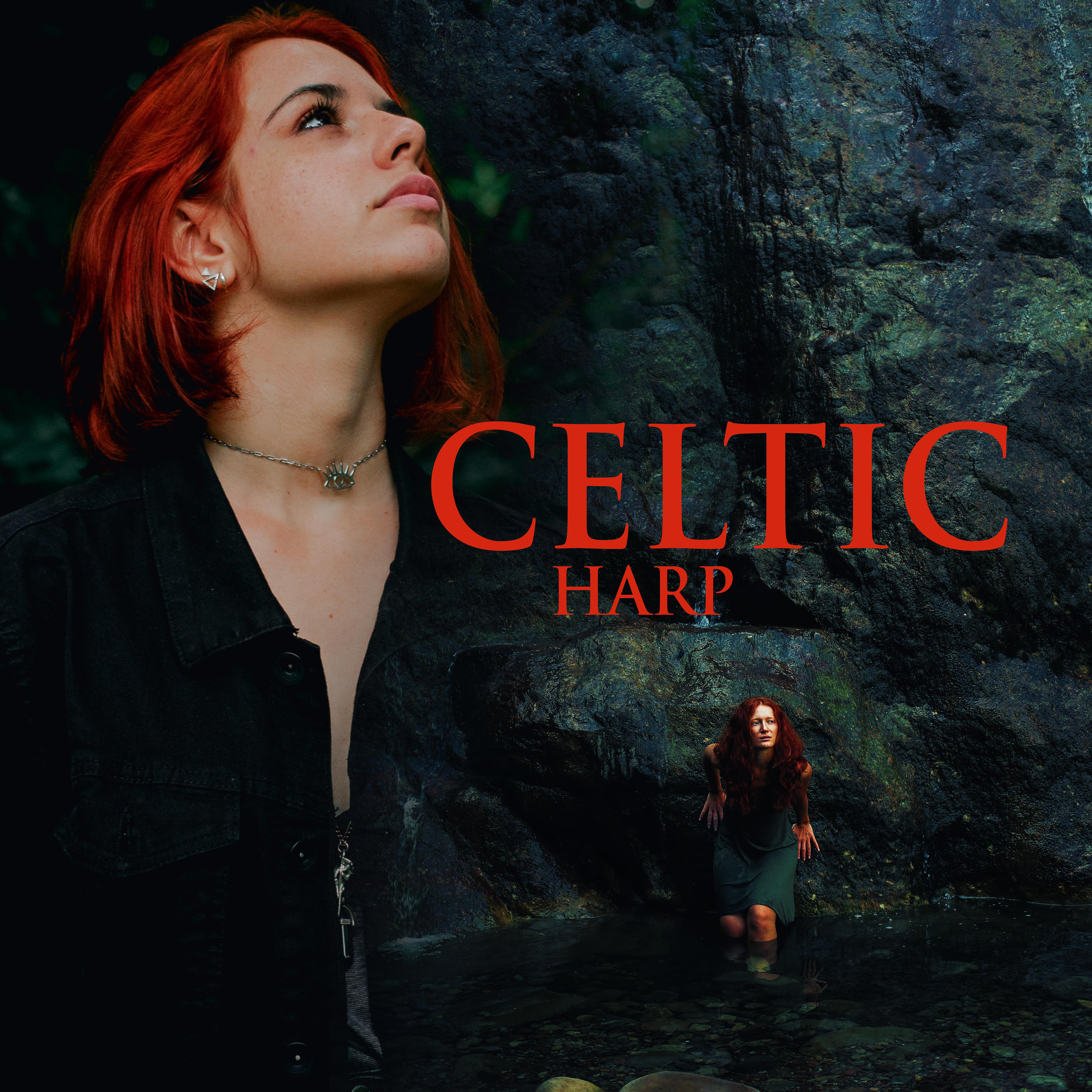 Постер альбома Celtic Harp