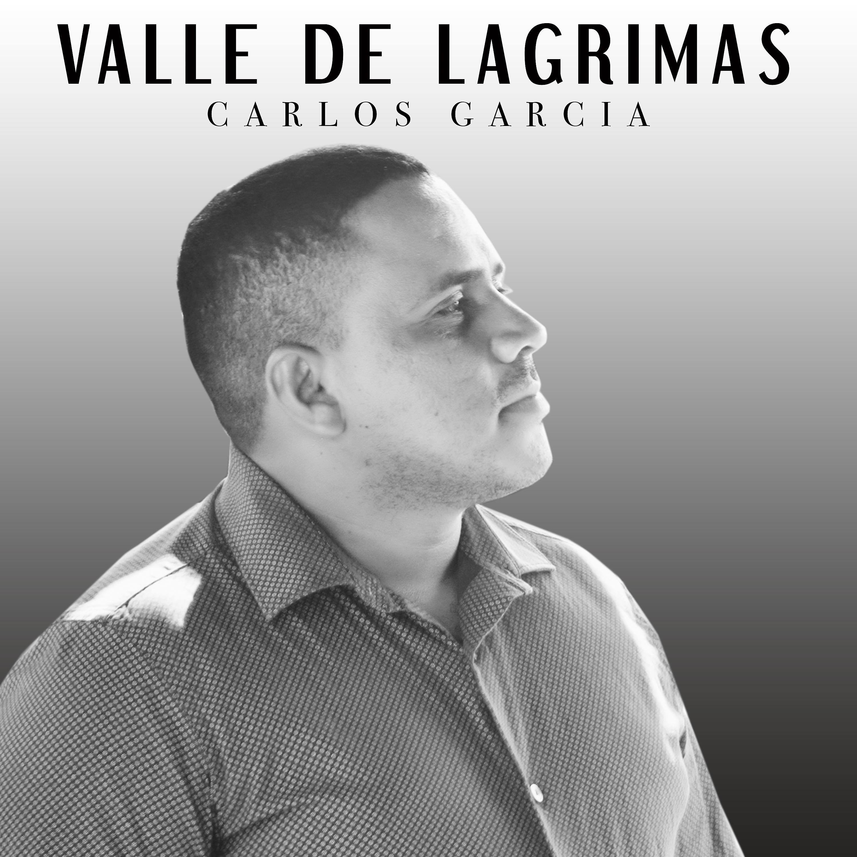 Постер альбома Valle de Lagrimas