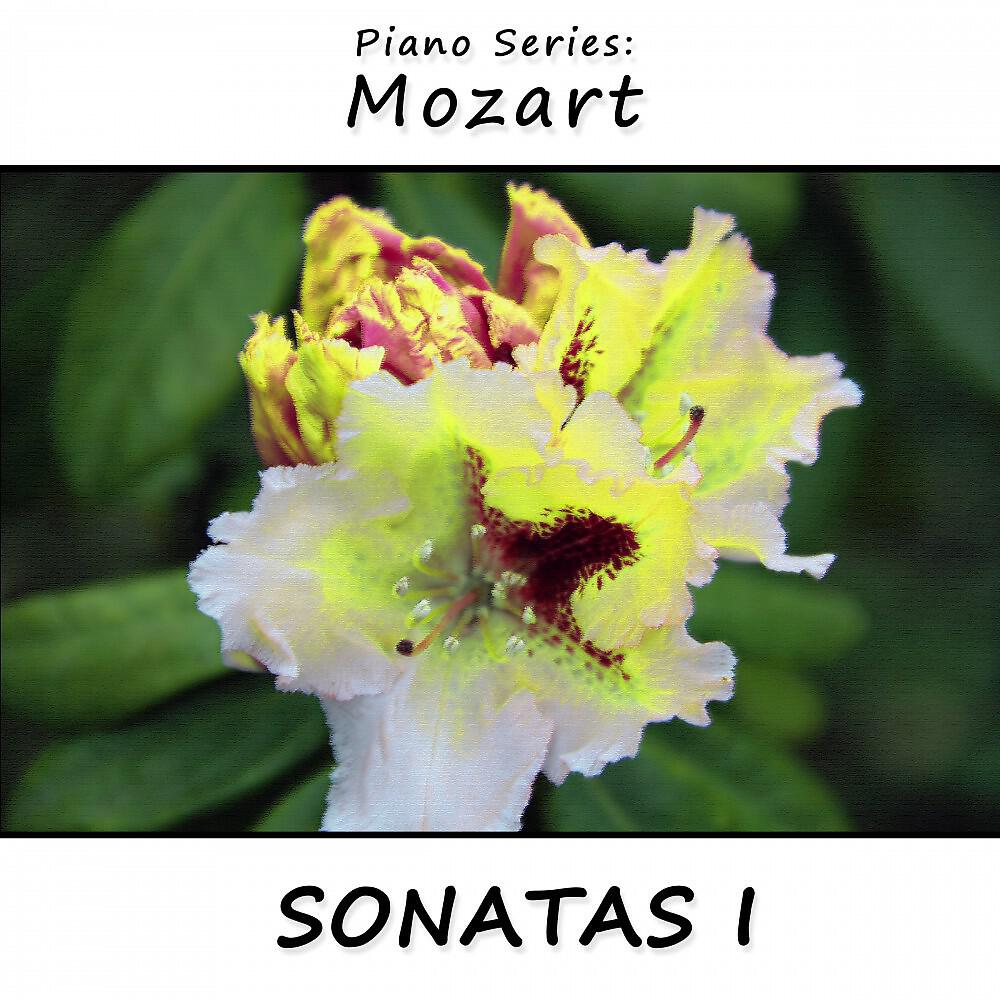 James Wright Webber - Sonata No. 8 in D-Dur, Kv 311: I Allegro con spirito