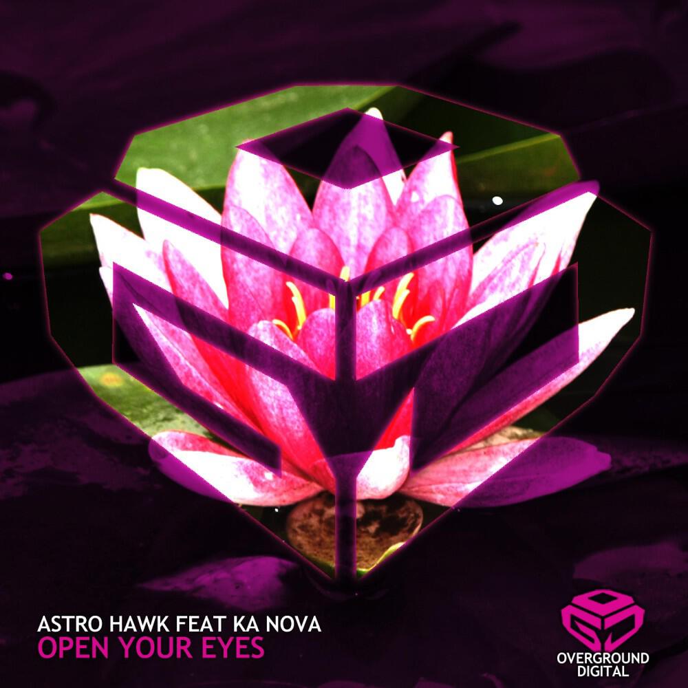 Astro Hawk - Open Your Eyes (Narcotic Ninjas a.k.a. NN pres. Ace Tatsu's Fathomless Mix)