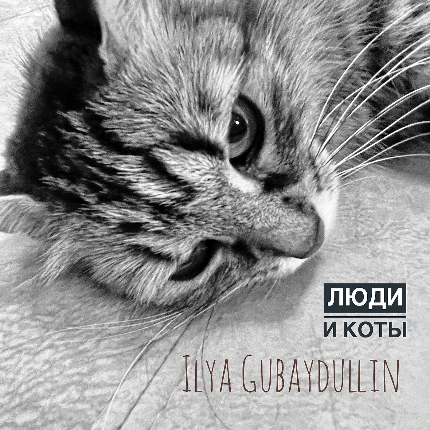 Постер альбома Люди и коты
