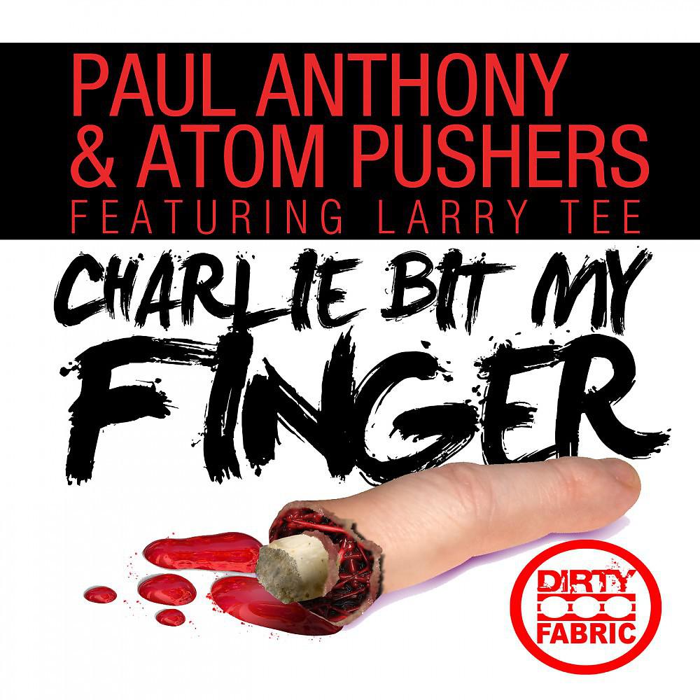 Постер альбома Charlie Bit My Finger (Original Mix)