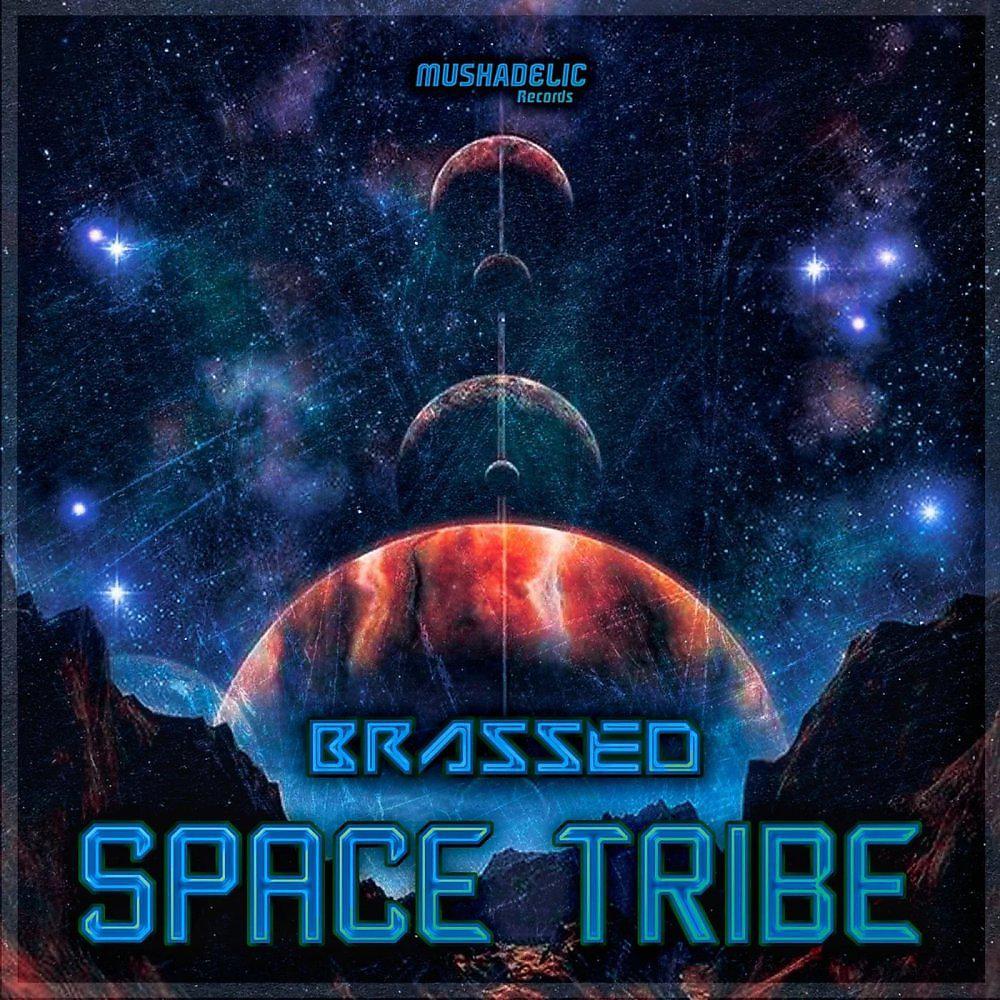 Постер альбома Space Tribe