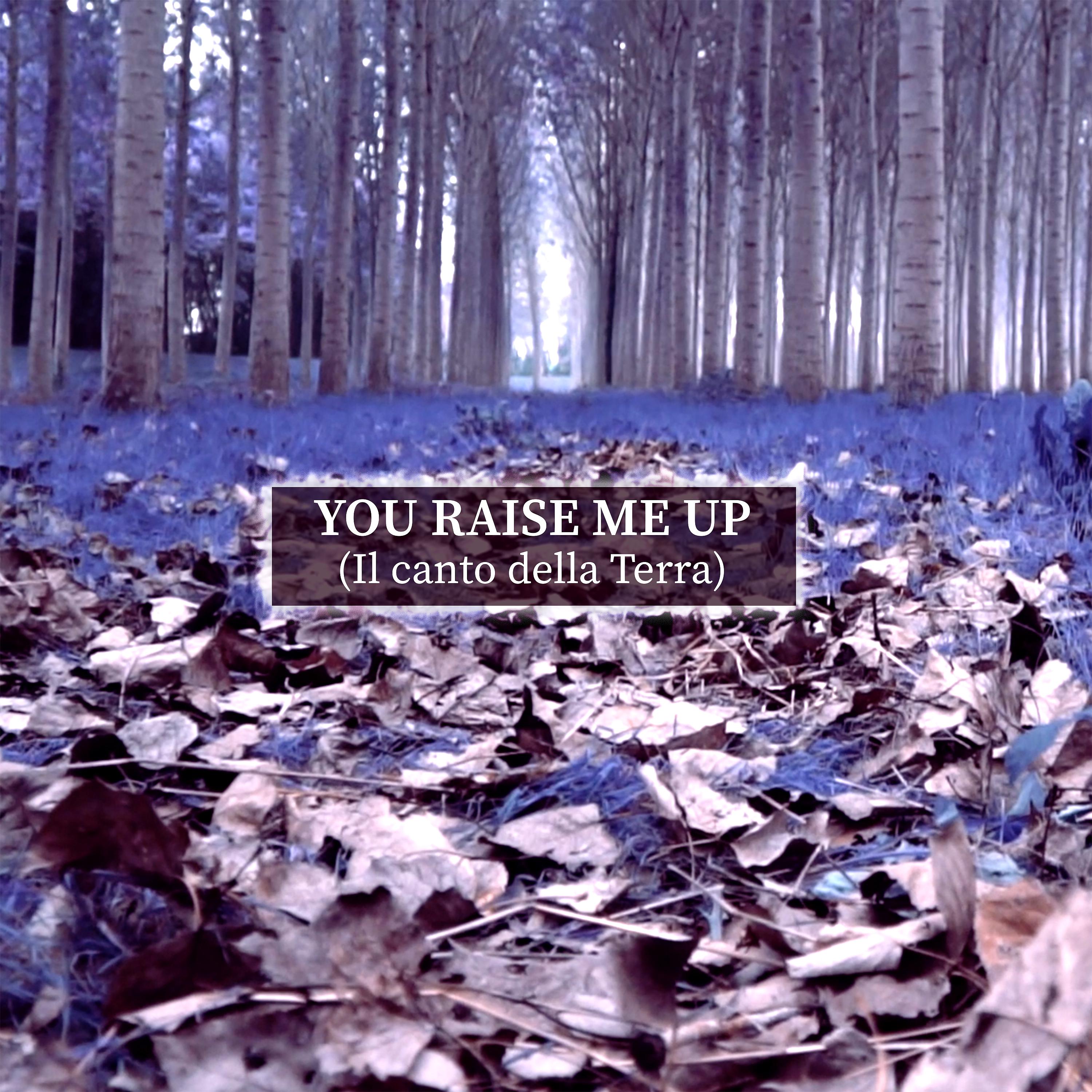 Постер альбома You Raise Me Up (Il canto della Terra)