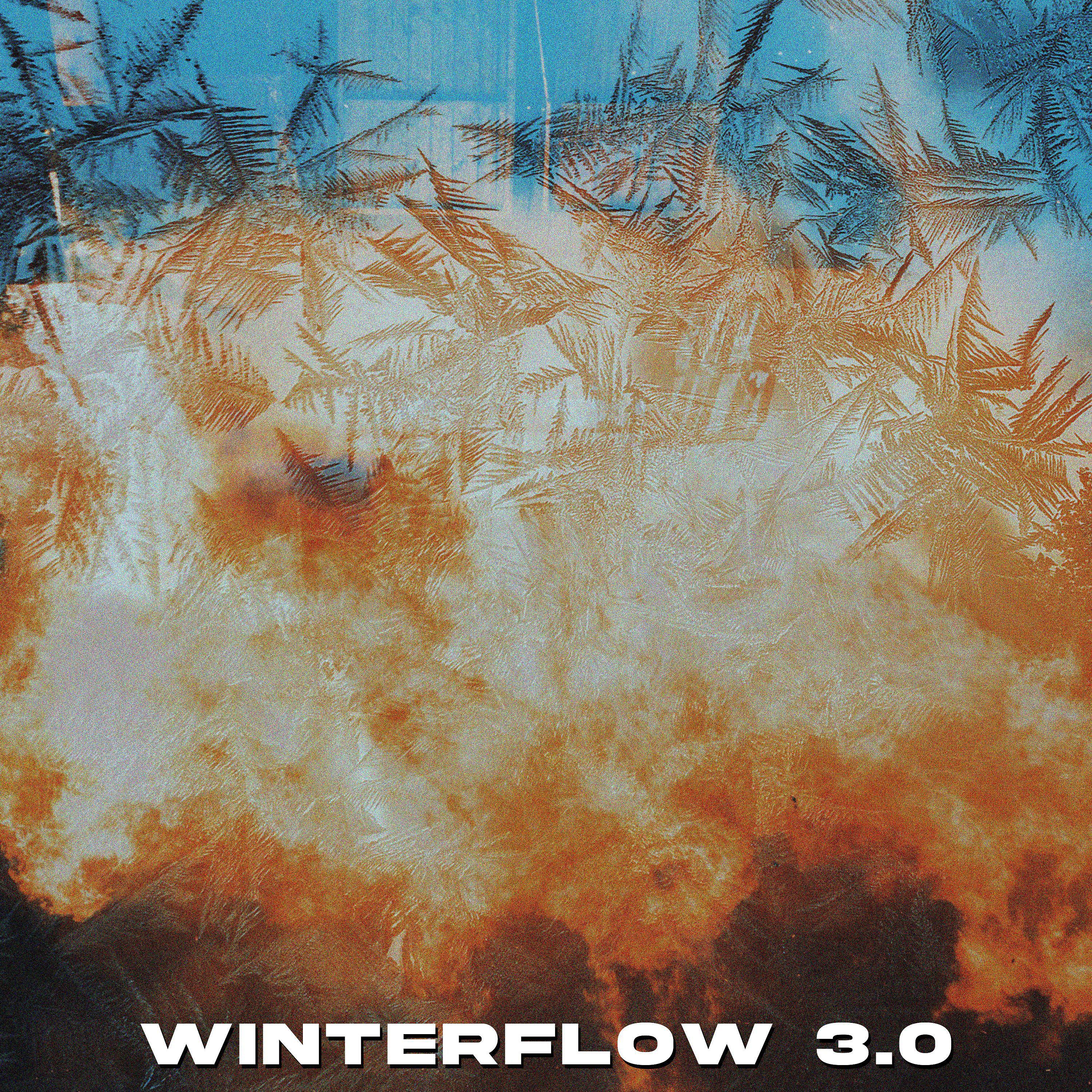Постер альбома WINTERFLOW 3.0