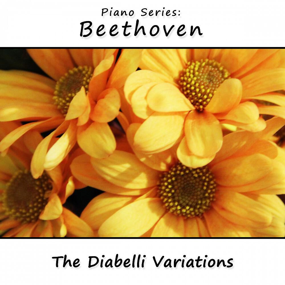 James Wright Webber - Diabelli Variations, Op. 20: XVIII. Poco moderato
