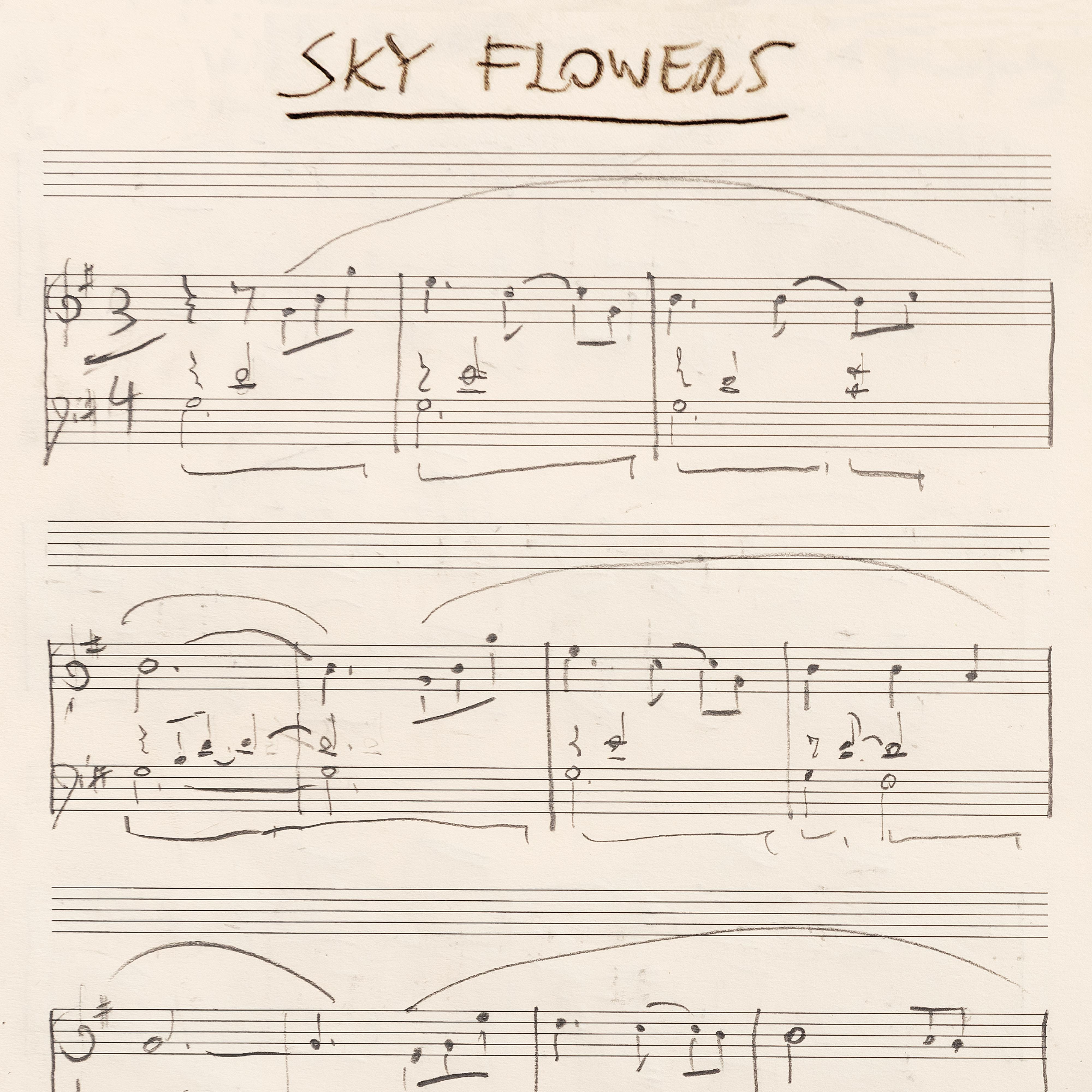 Постер альбома Sky Flowers