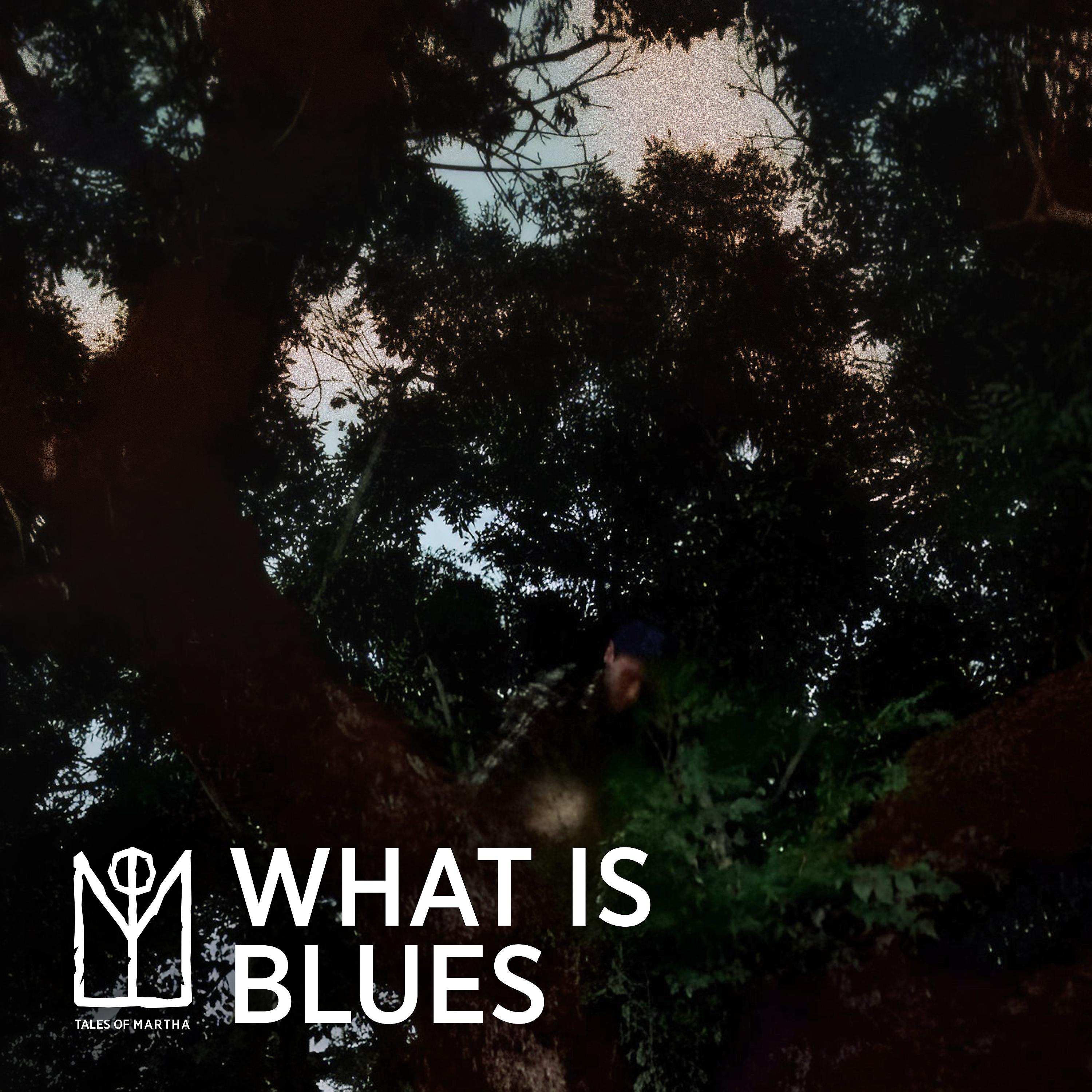 Постер альбома What Is Blues