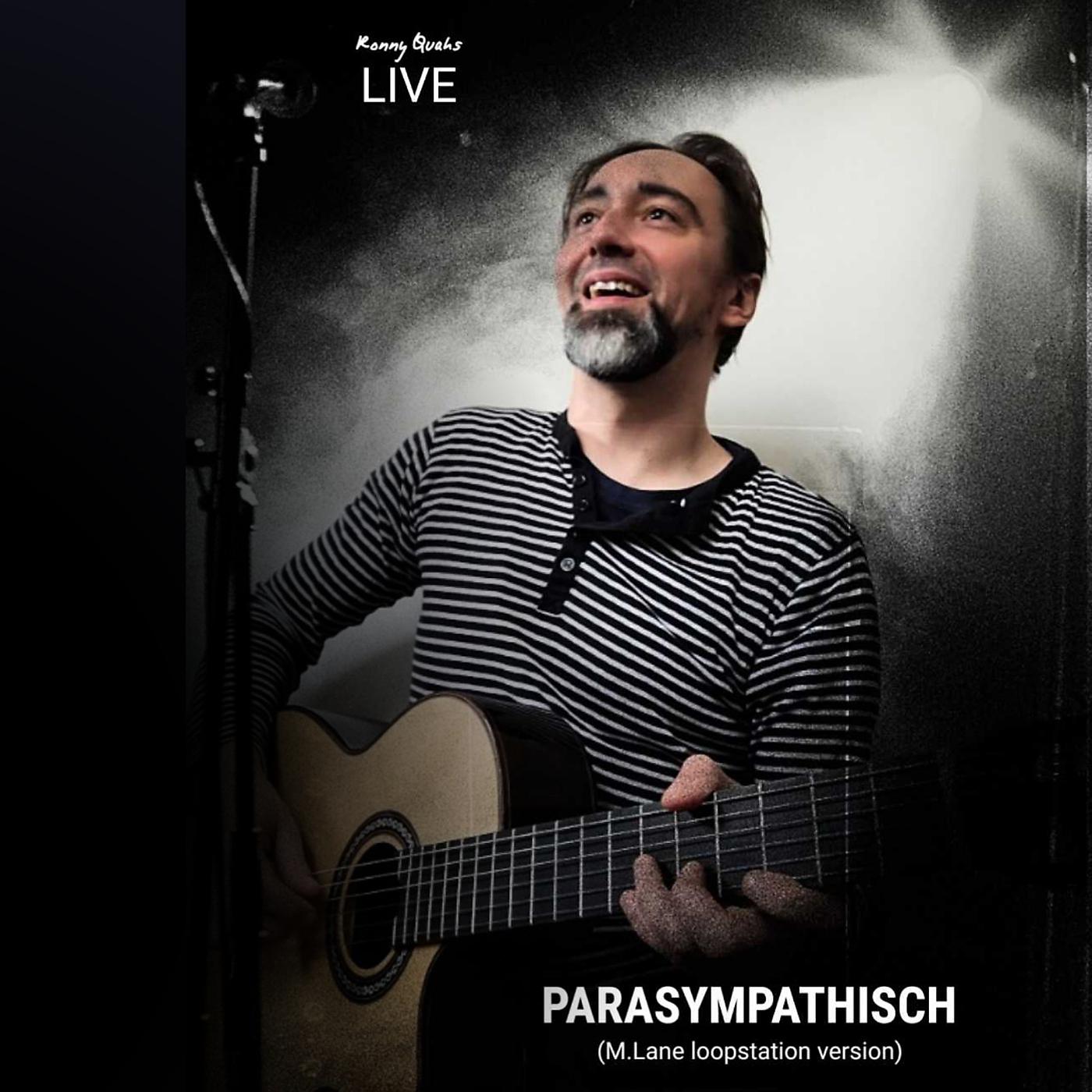 Постер альбома Parasympathisch (M.Lane Loopstation Version) [Live]