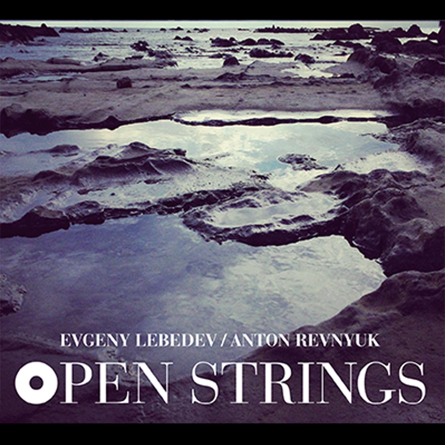 Постер альбома Open Strings