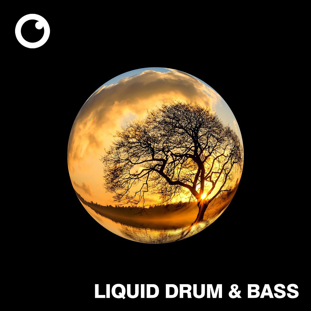 Постер альбома Liquid Drum & Bass Sessions #57