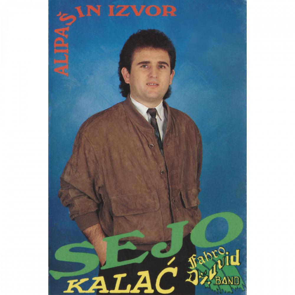 Постер альбома Ali Pasin Izvor