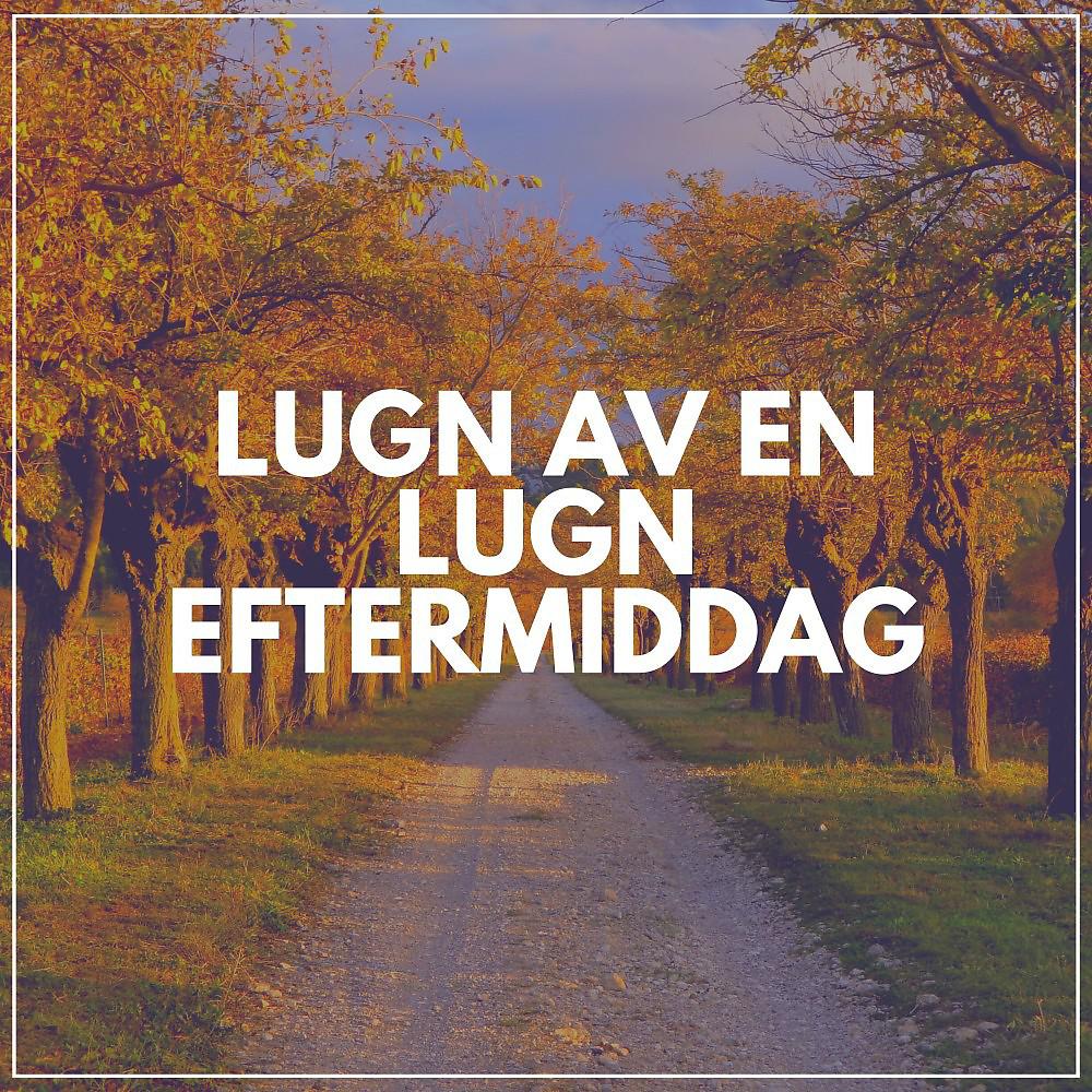Постер альбома Lugn Av en Lugn Eftermiddag