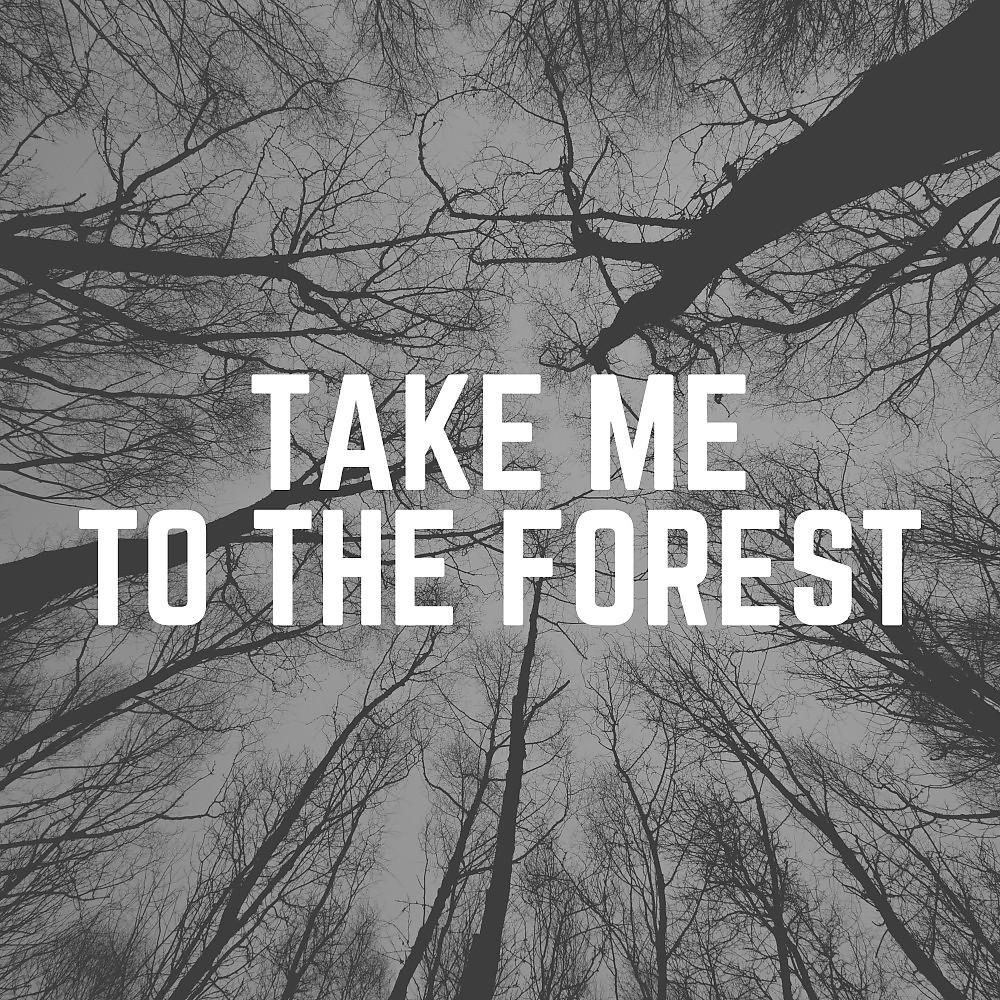 Постер альбома Take Me to the Forest