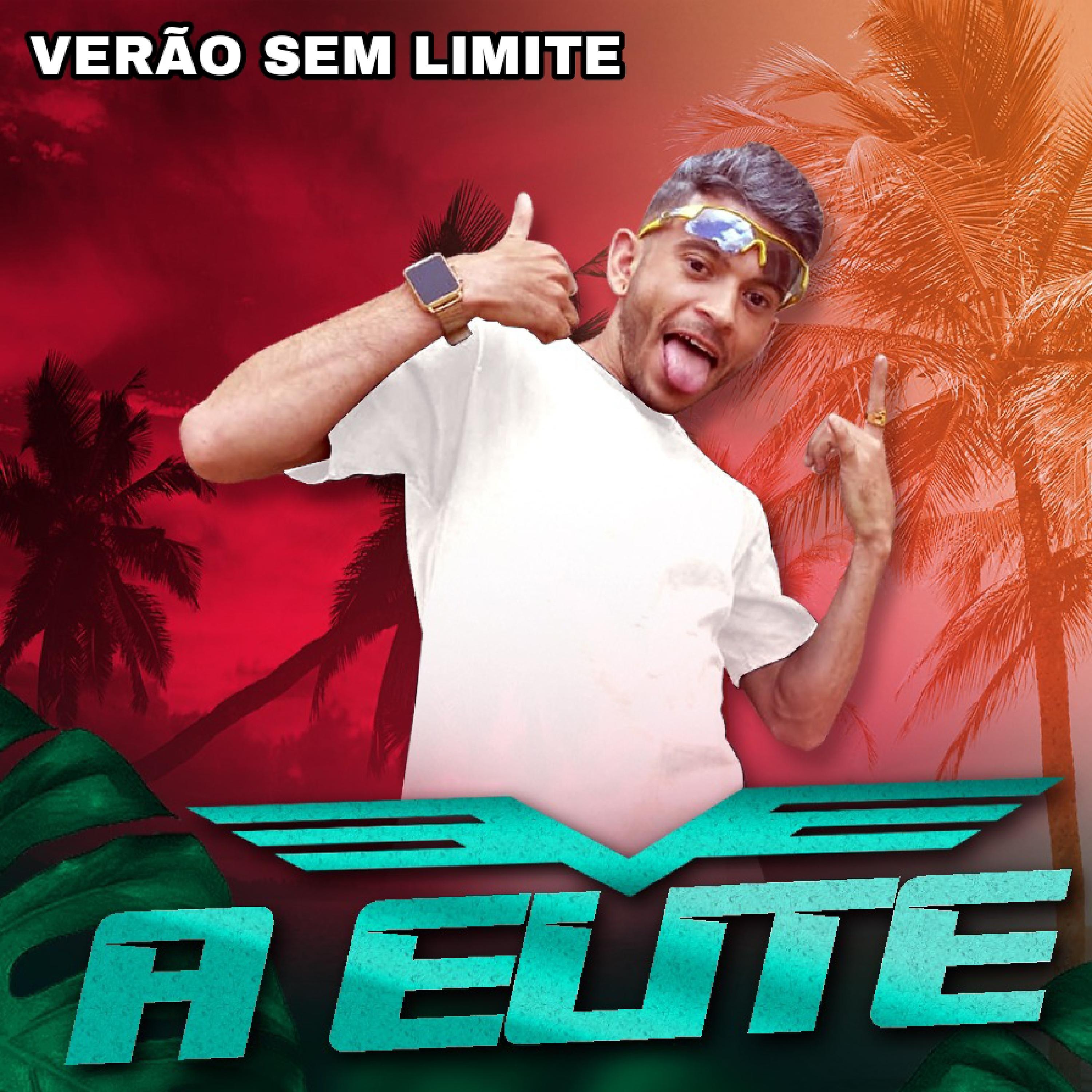 Постер альбома Verão Sem Limite