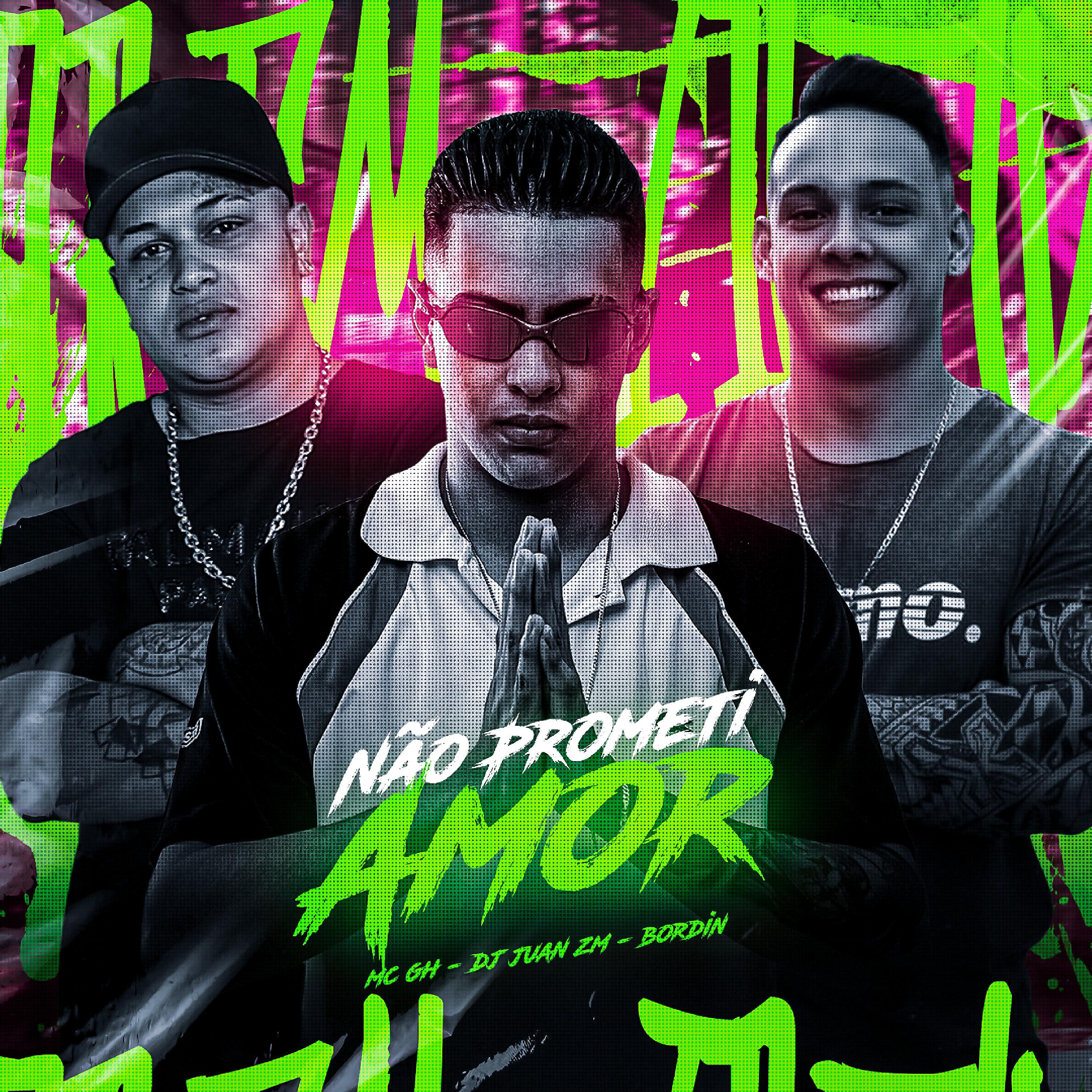 Постер альбома Não Prometi Amor