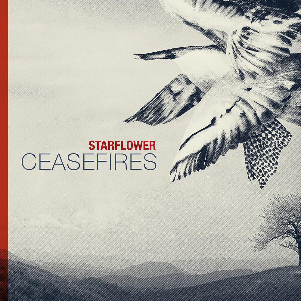 Постер альбома Ceasefires
