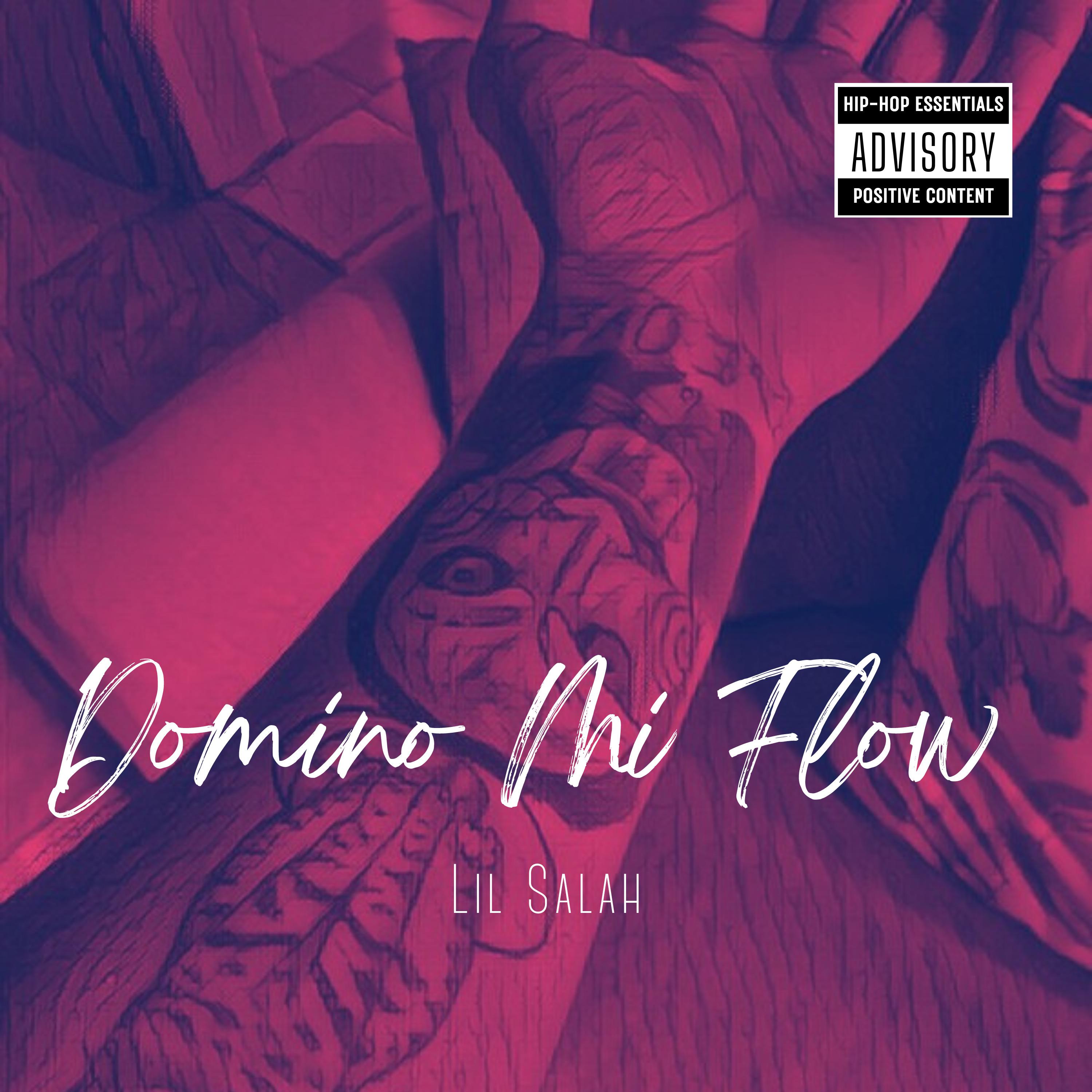 Постер альбома Domino Mi Flow