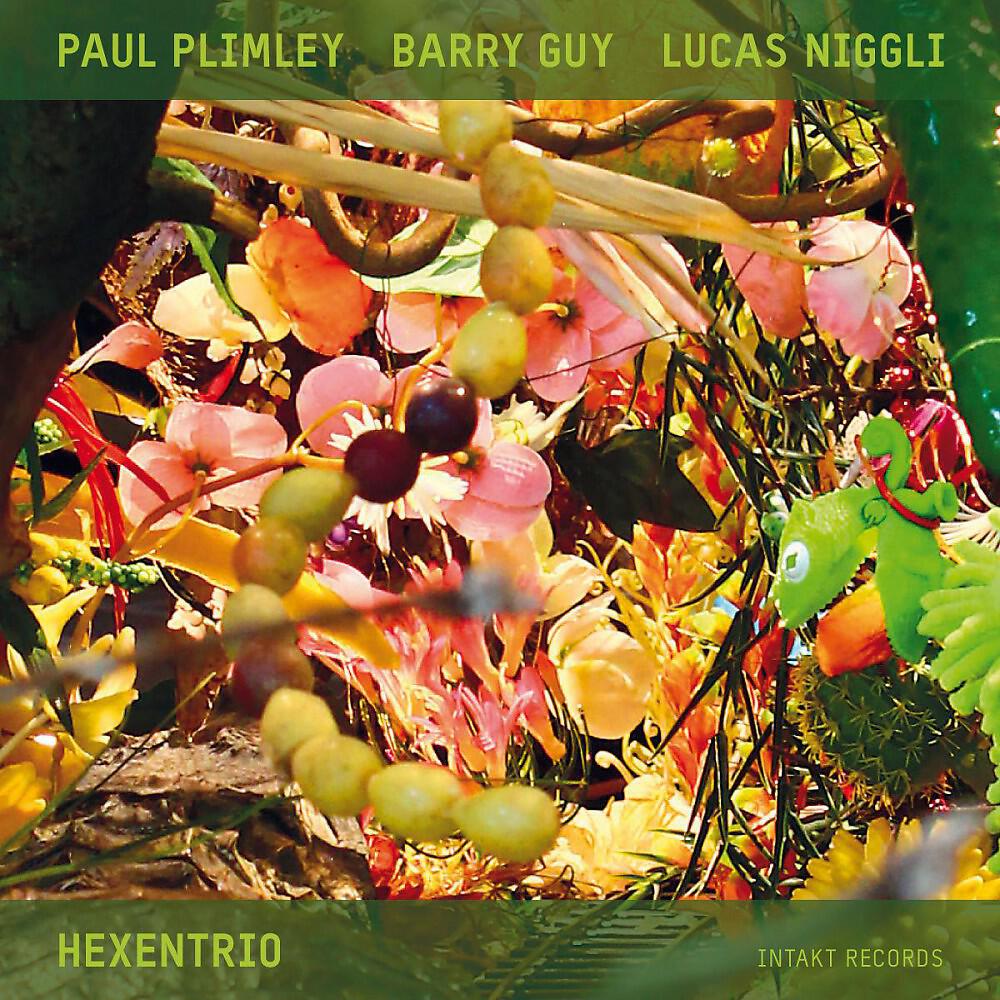 Paul Plimley - Flutterby