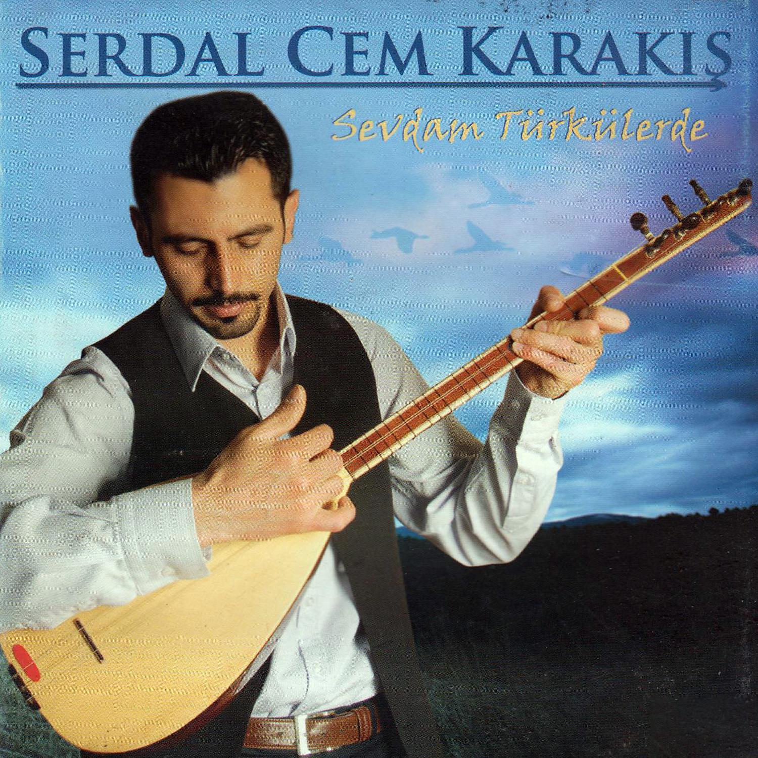 Постер альбома Sevdam Türkülerde