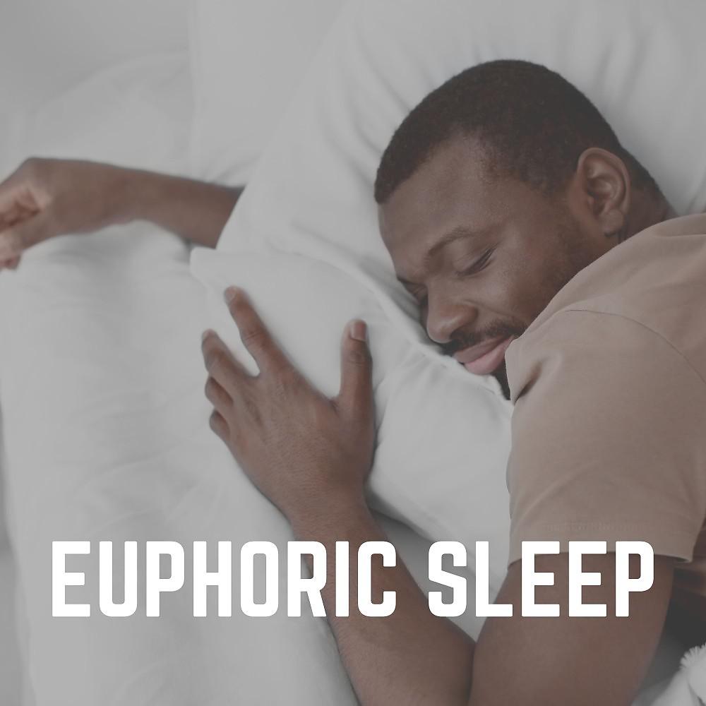 Постер альбома Euphoric Sleep