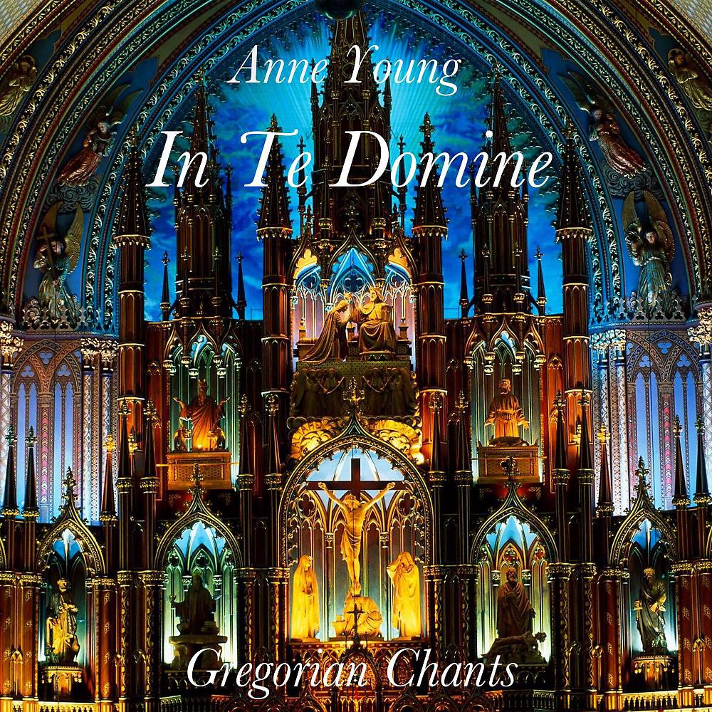 Постер альбома In Te Domine (Gregorian Chants)