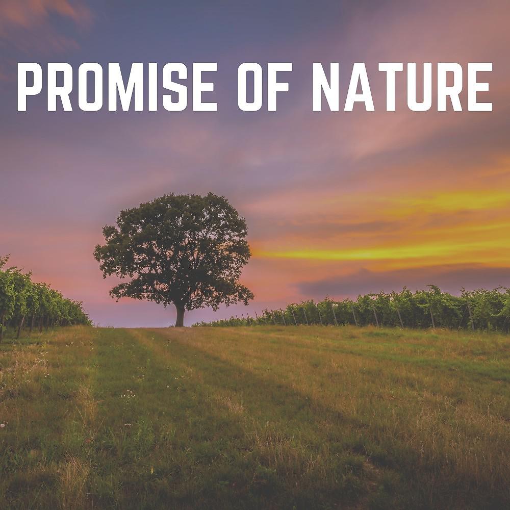Постер альбома Promise of Nature