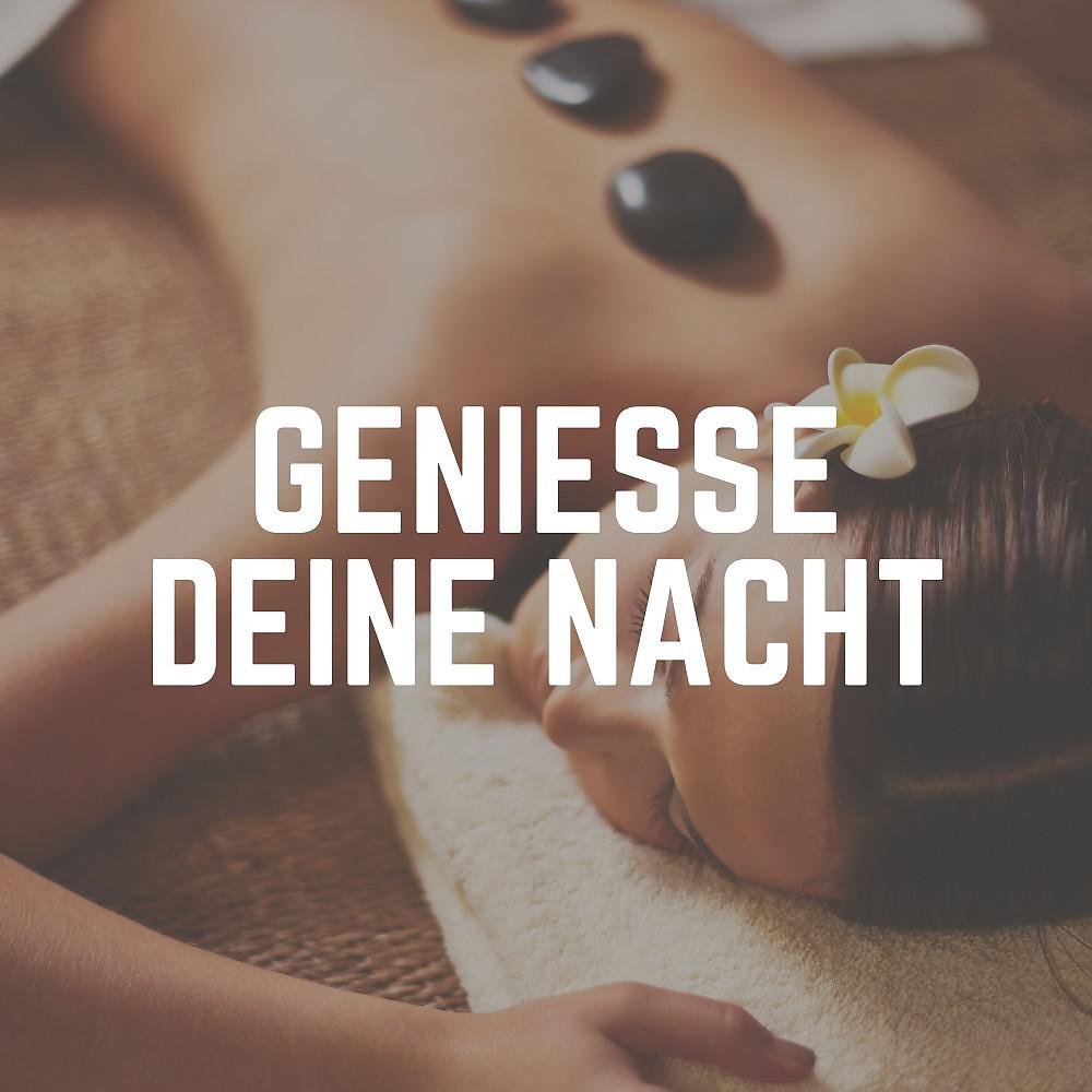 Постер альбома Genieße Deine Nacht