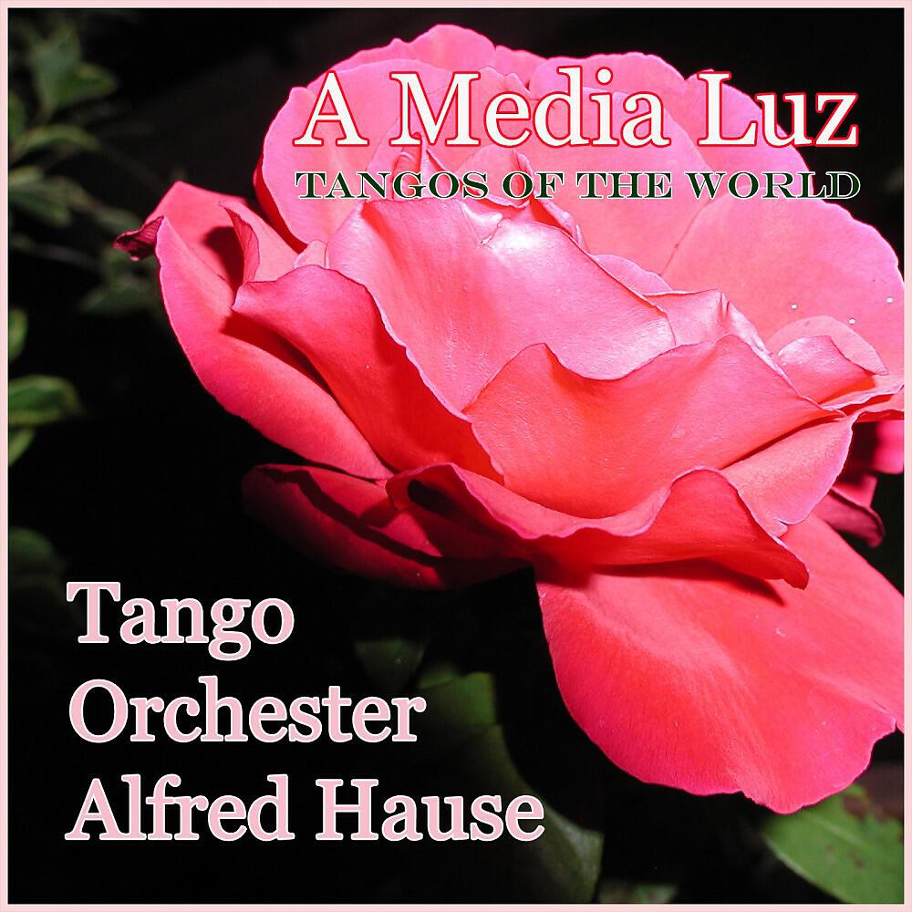 Tango Orchester Alfred Hause - A Media Luz (Tango)