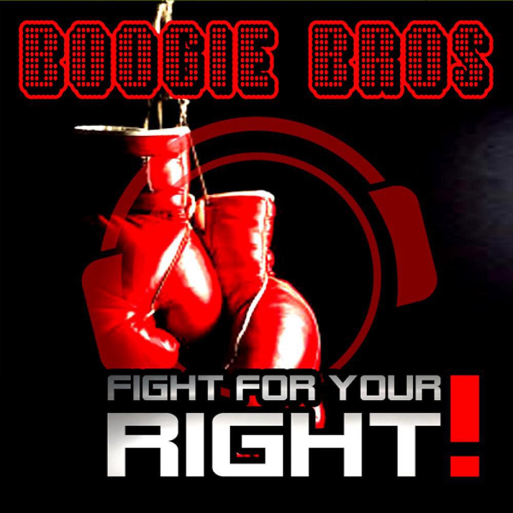 Boogie Bros - Fight For Your Right (DJ Anady vs. Sander Remix)