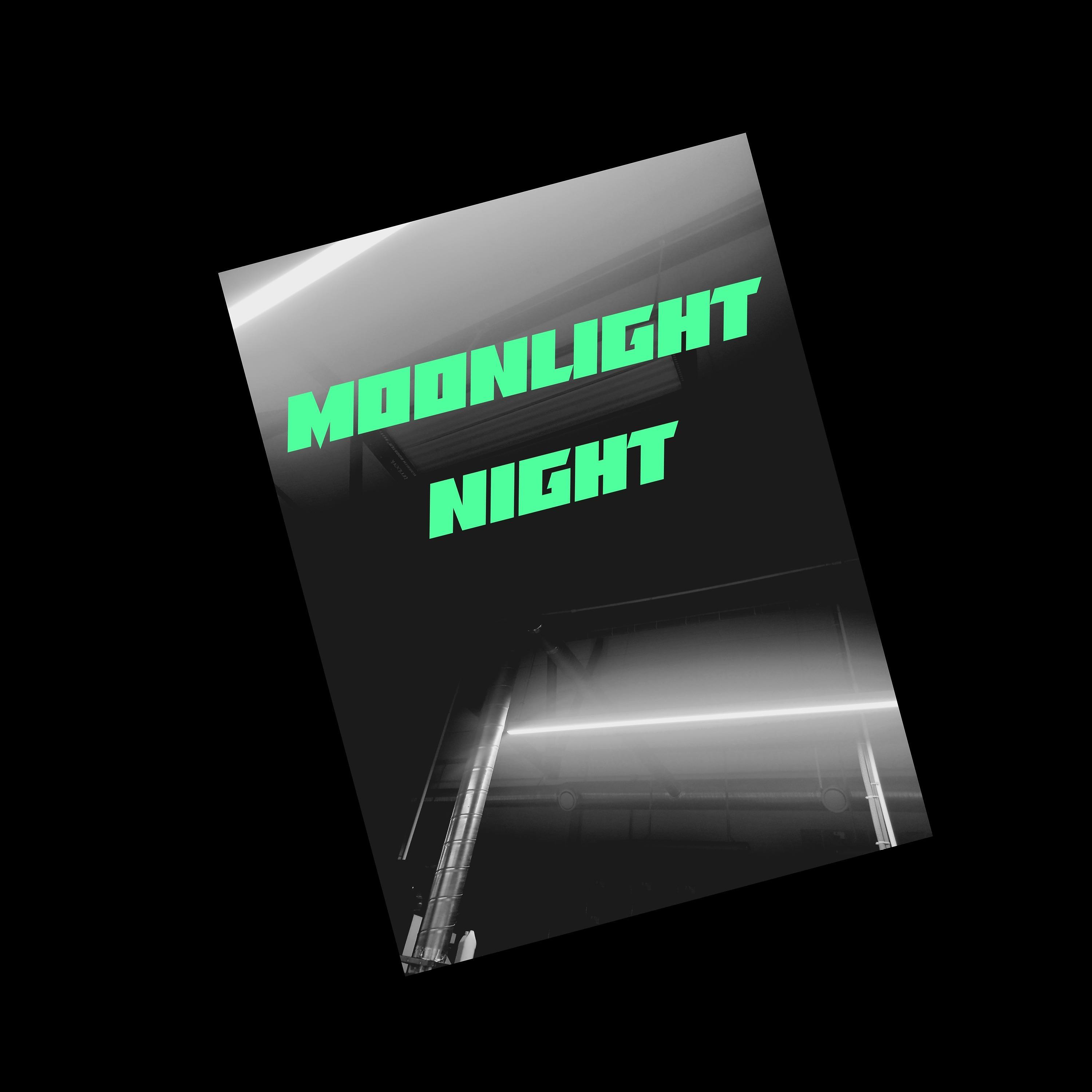 Постер альбома Moonlight Night