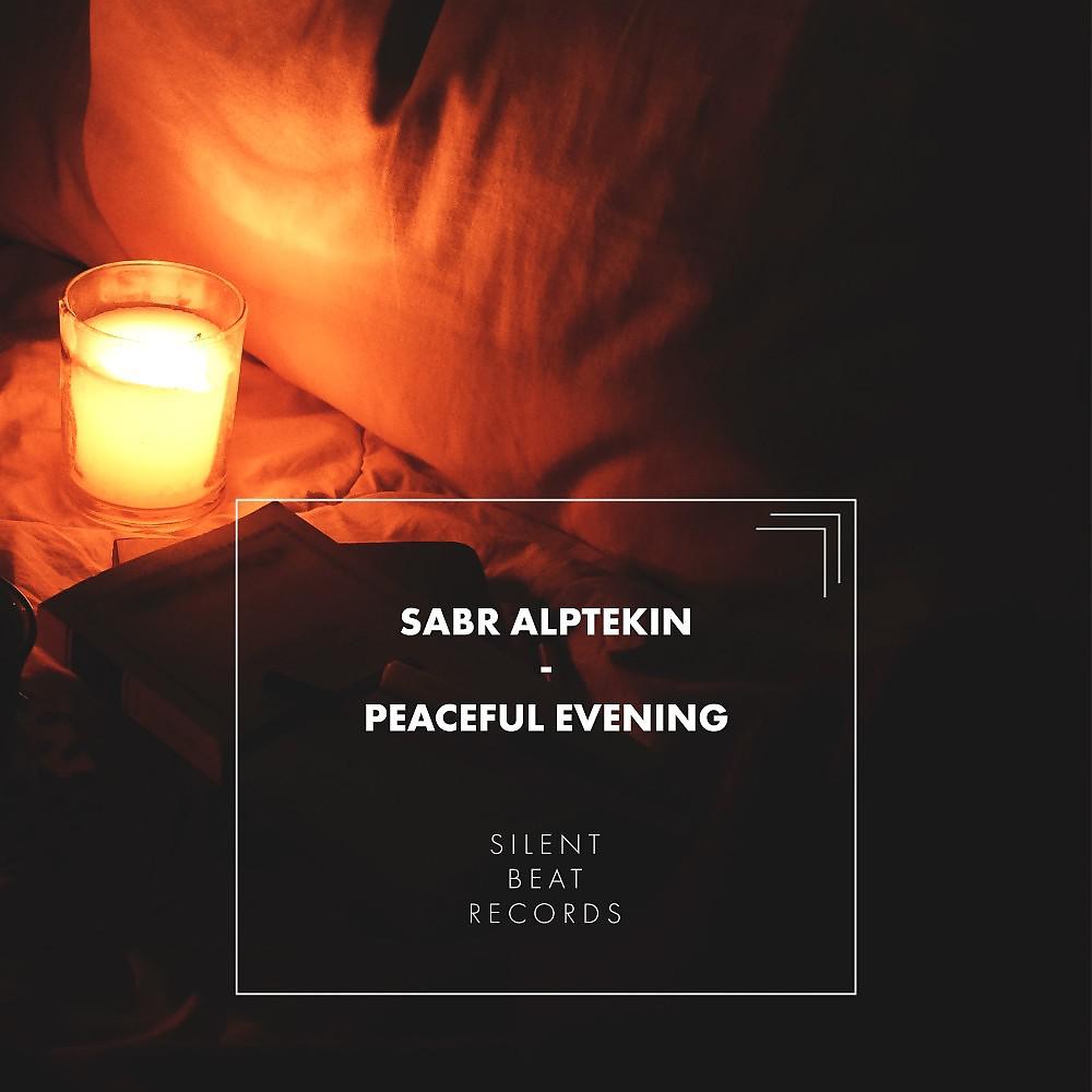 Постер альбома Peaceful Evening