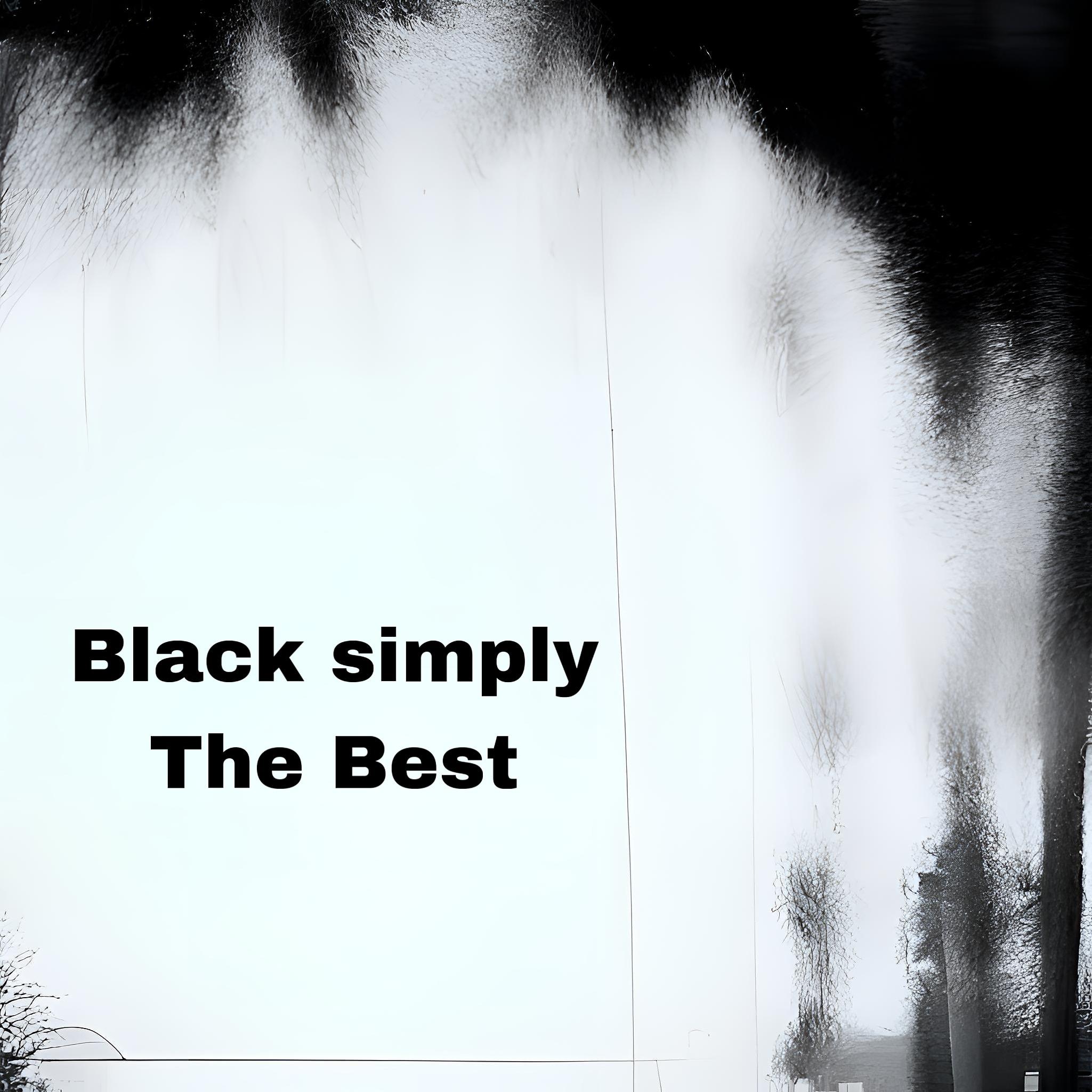 Постер альбома Black Simply the Best