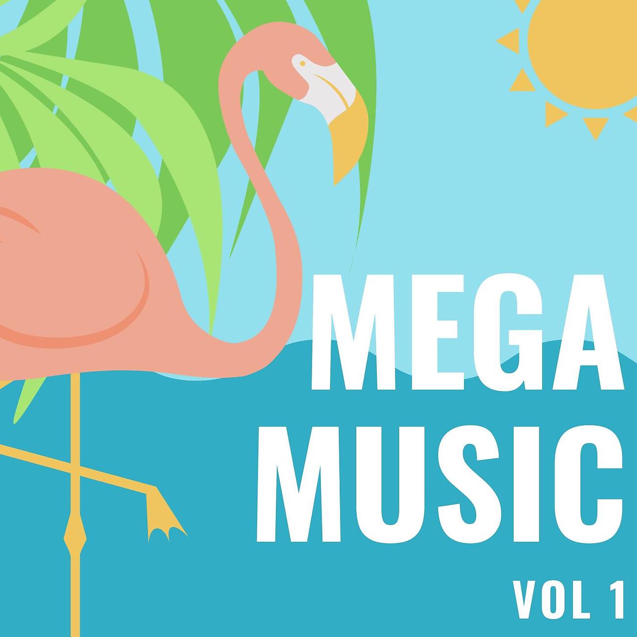Постер альбома Mega Music Vol 1