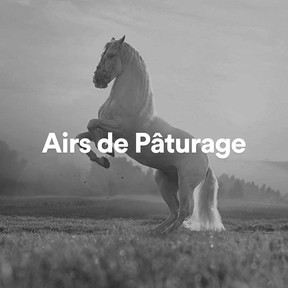 Постер альбома Airs de Pâturage