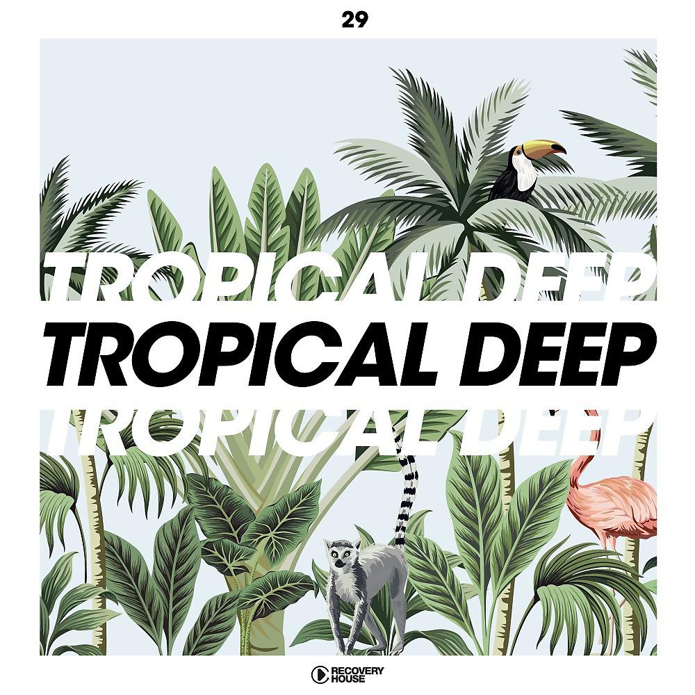 Постер альбома Tropical Deep, Vol. 29
