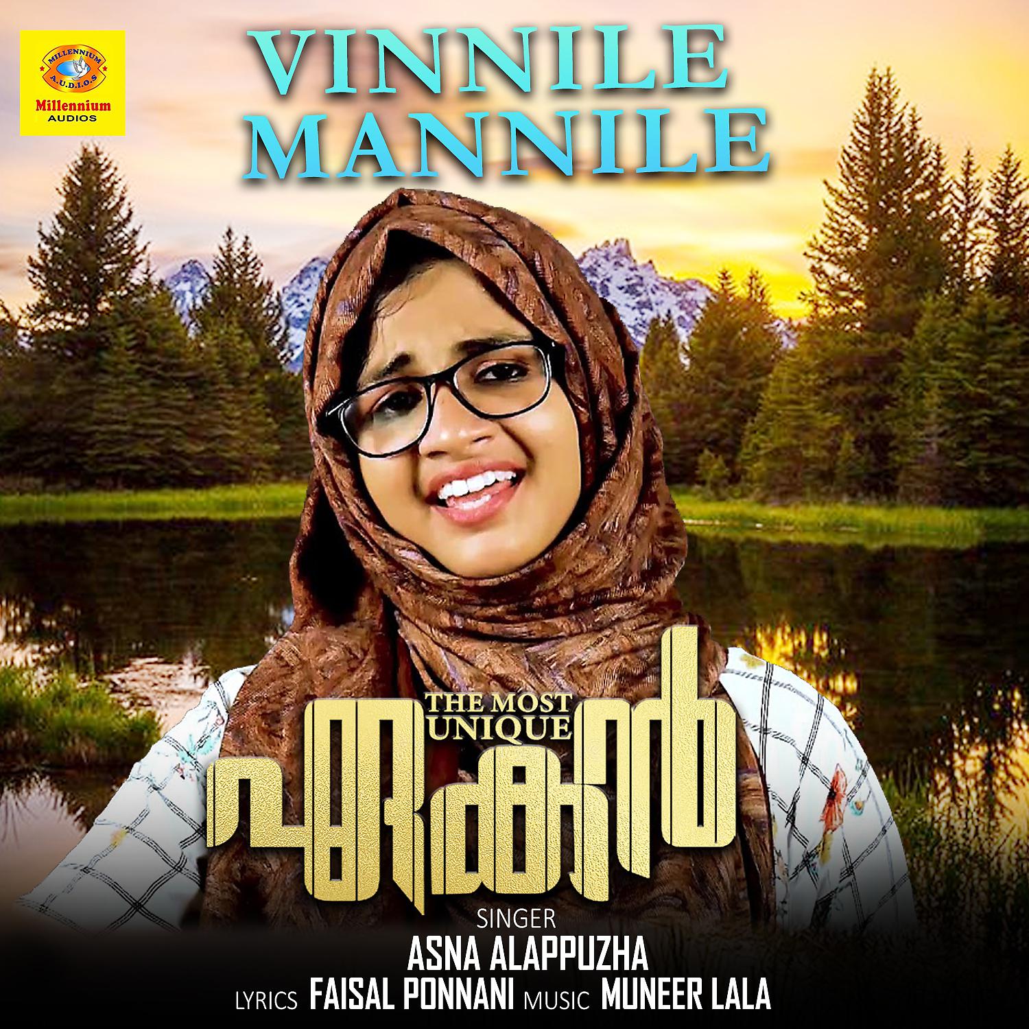 Постер альбома Vinnile Mannile