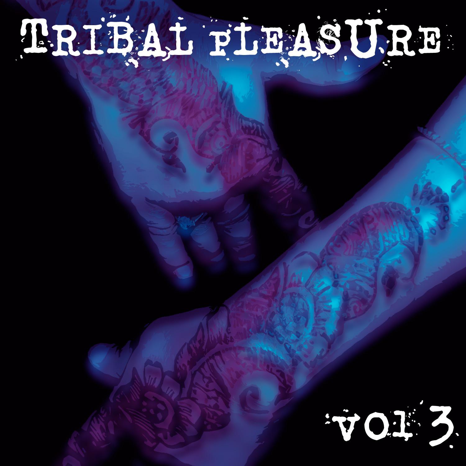 Постер альбома Tribal Pleasure Vol. 3