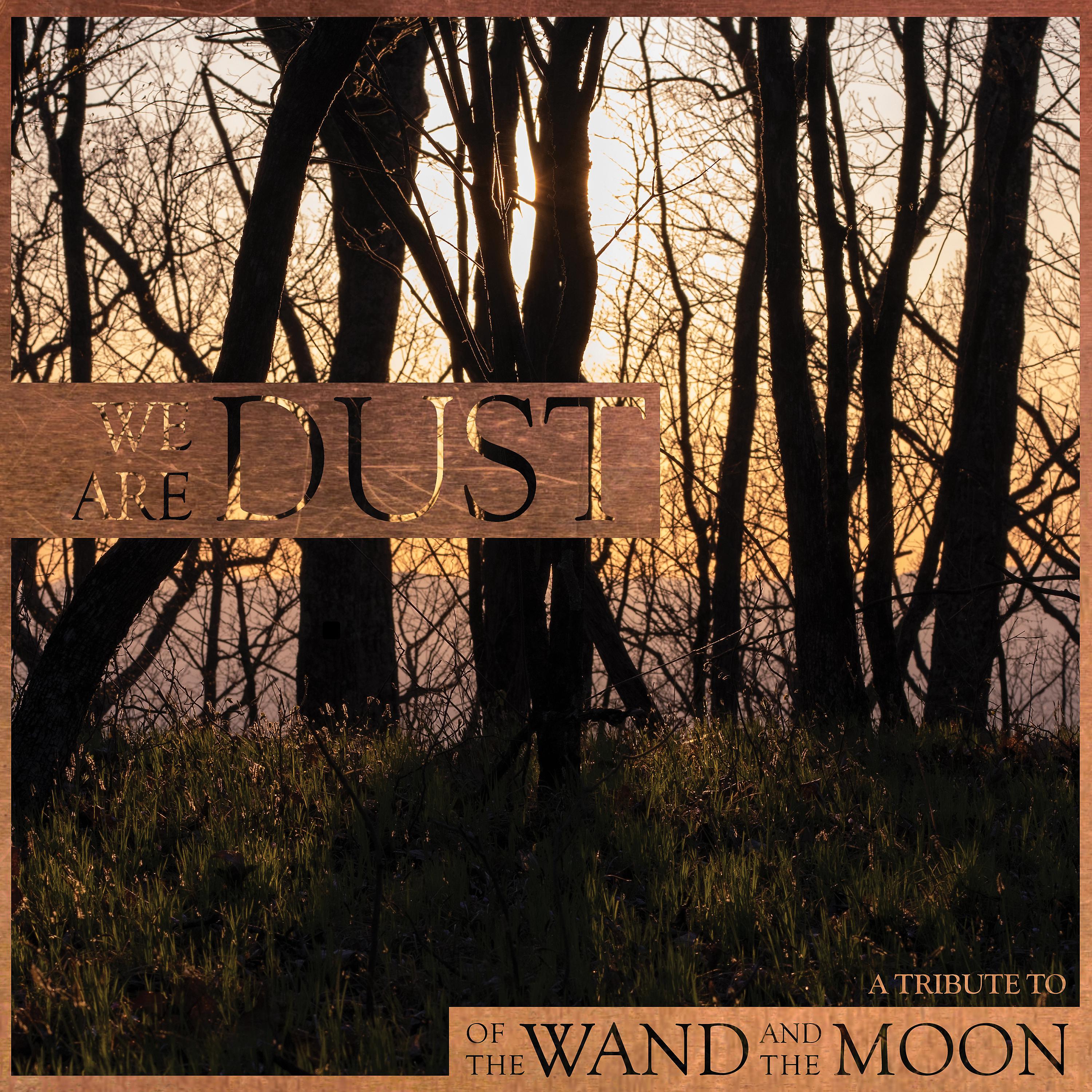 Постер альбома We Are Dust - A Tribute To Of The Wand And The Moon