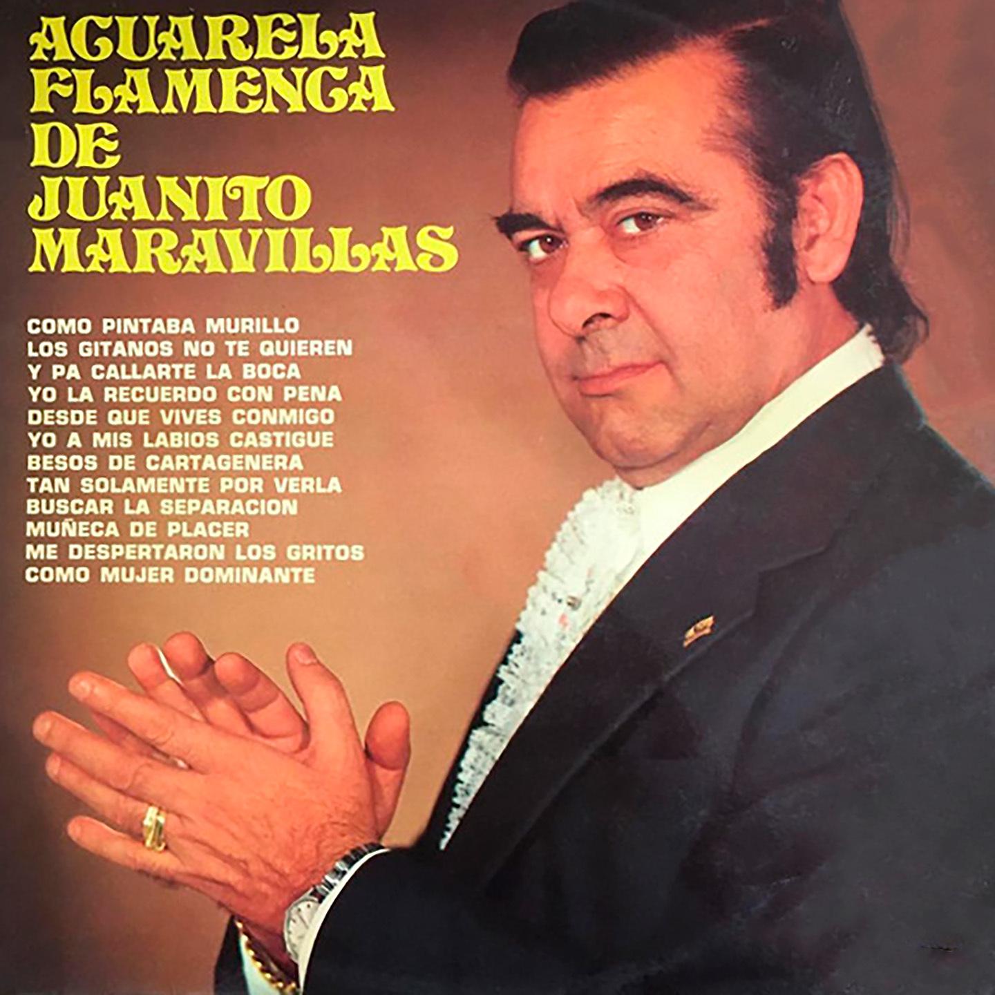 Постер альбома Acuarela Flamenca de
