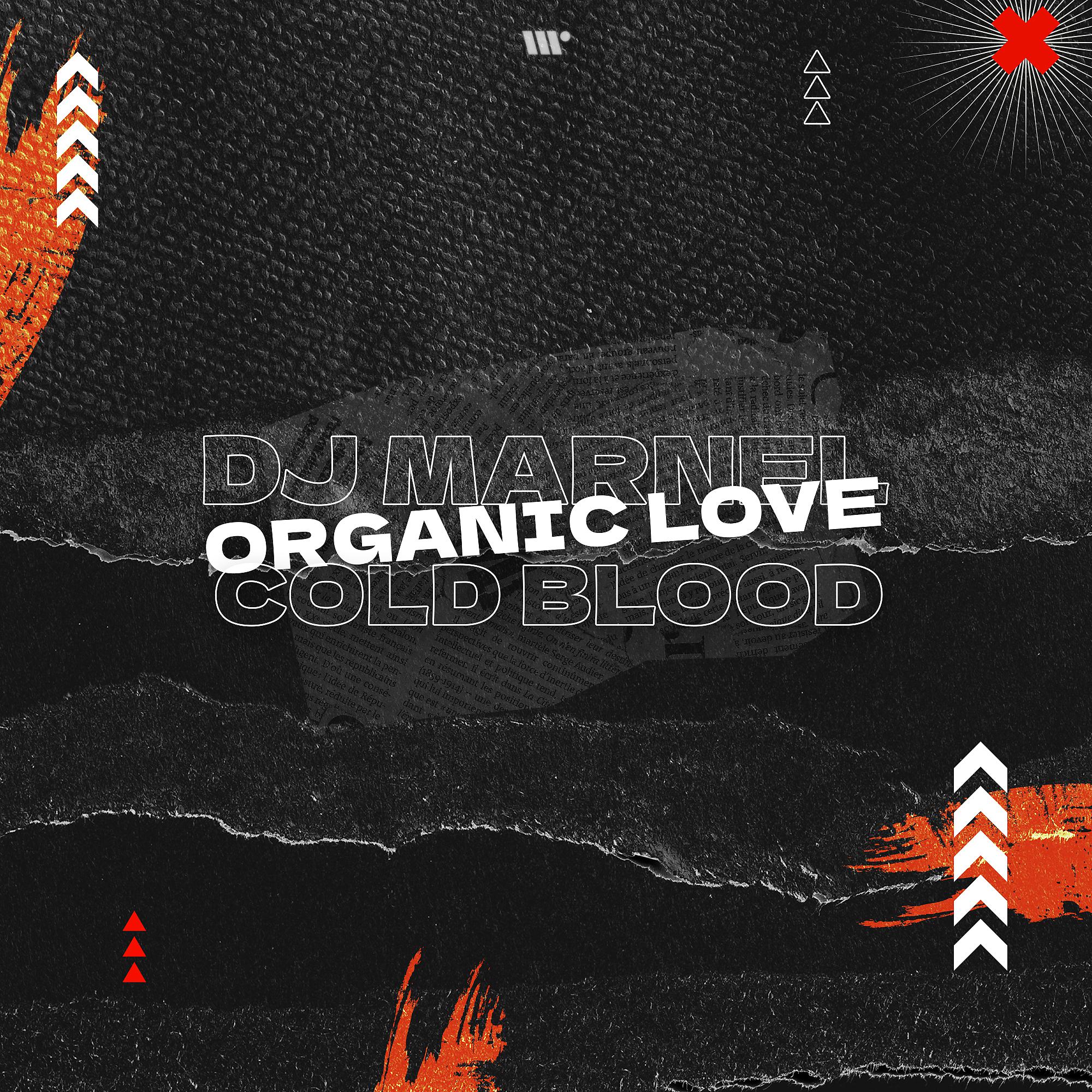 Постер альбома Organic Love