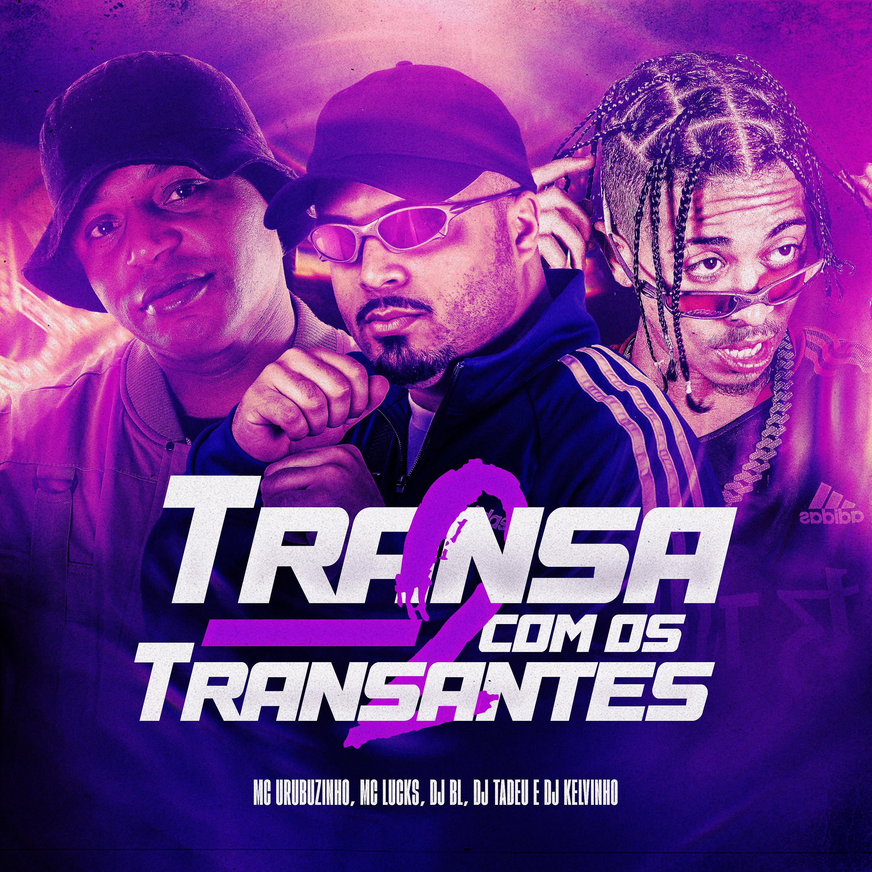 Постер альбома Transa Com Os Transantes 2