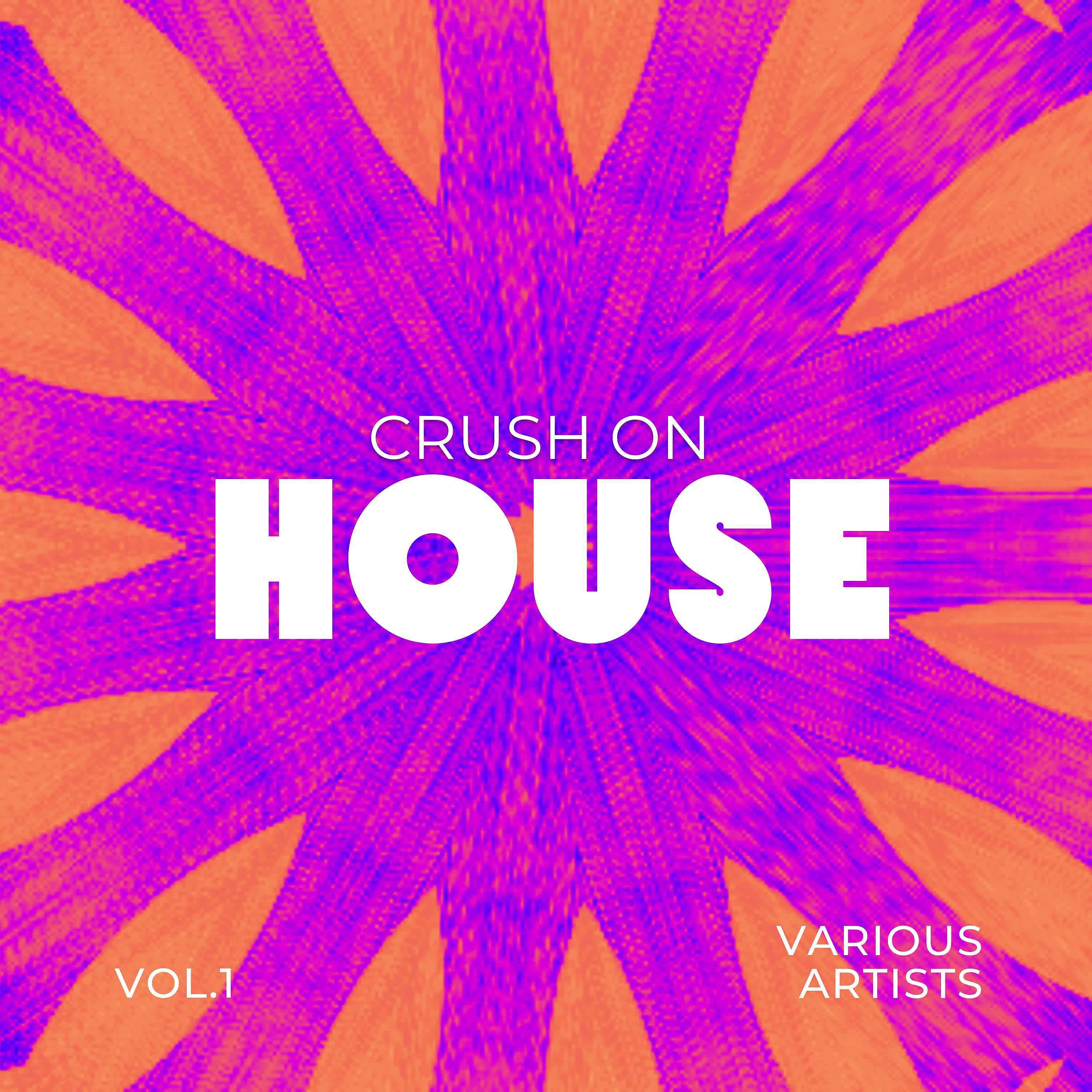 Постер альбома Crush On House, Vol. 1