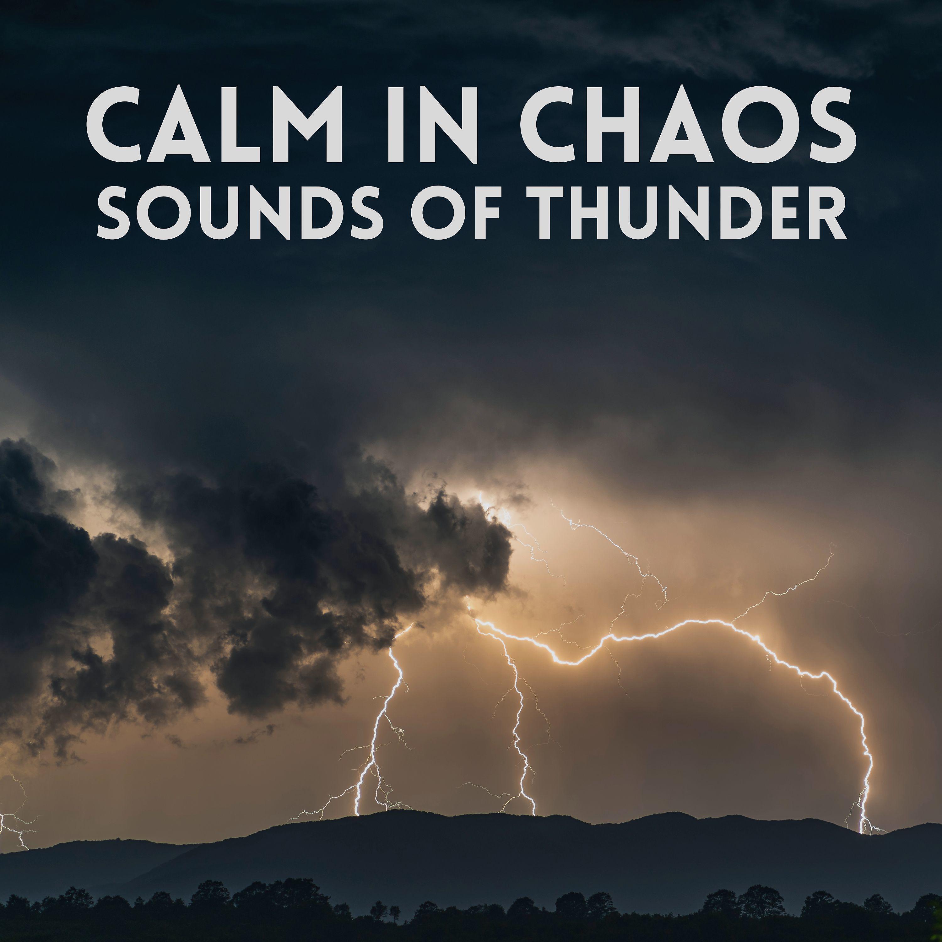 Постер альбома Calm in Chaos Sounds of Thunder