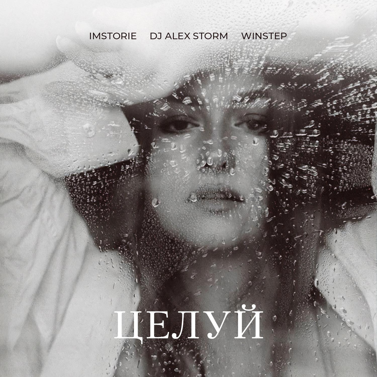 Постер альбома Целуй (Remix)